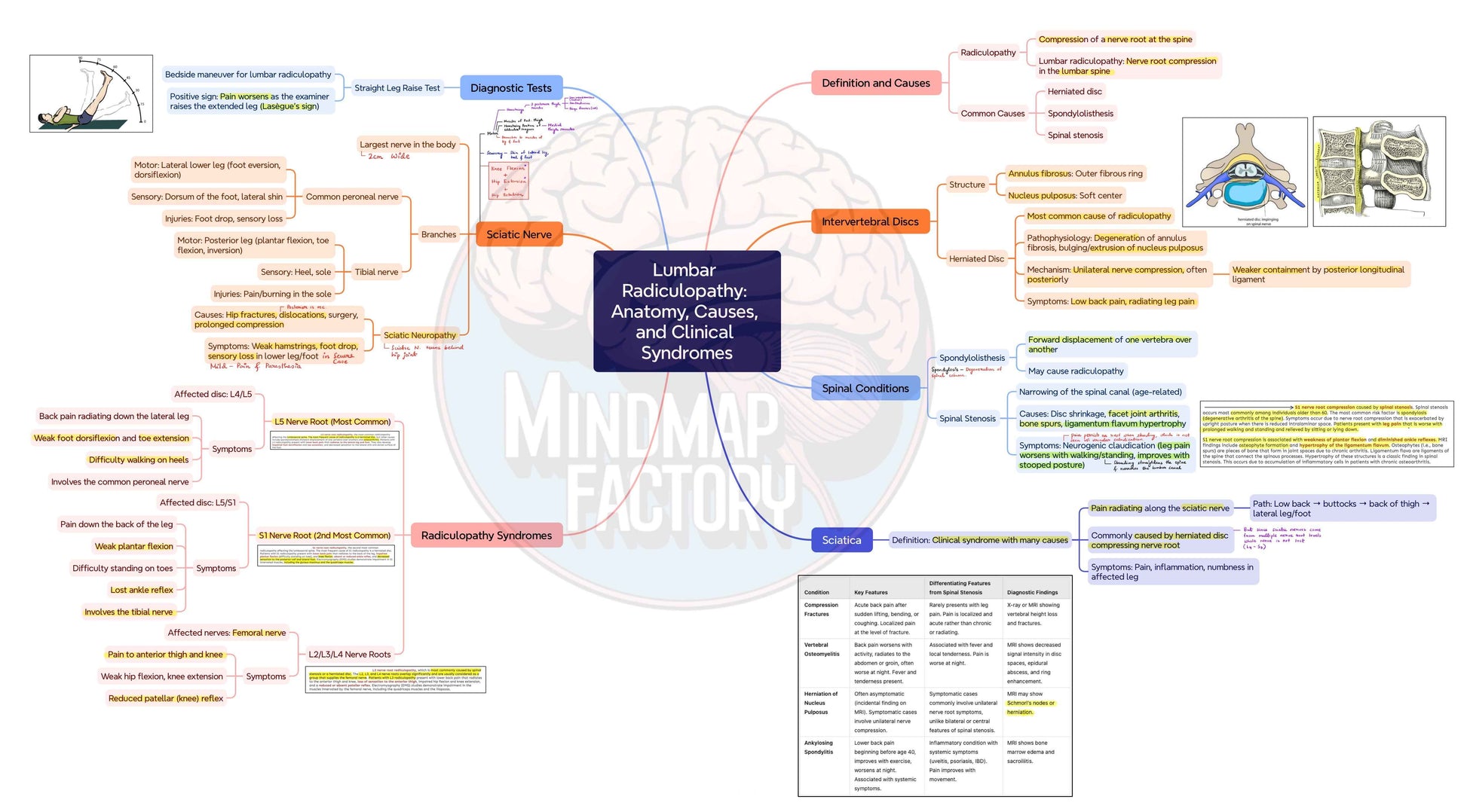 Mastermaps Integrated Musculoskeletal System