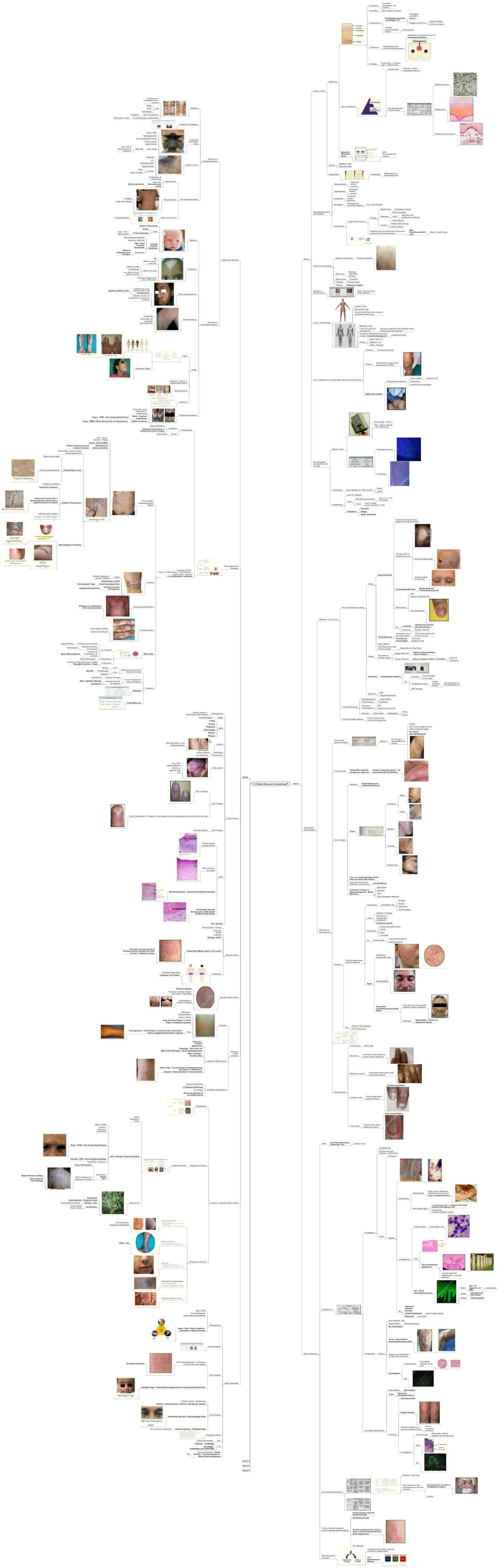 Mastermap Dermatology