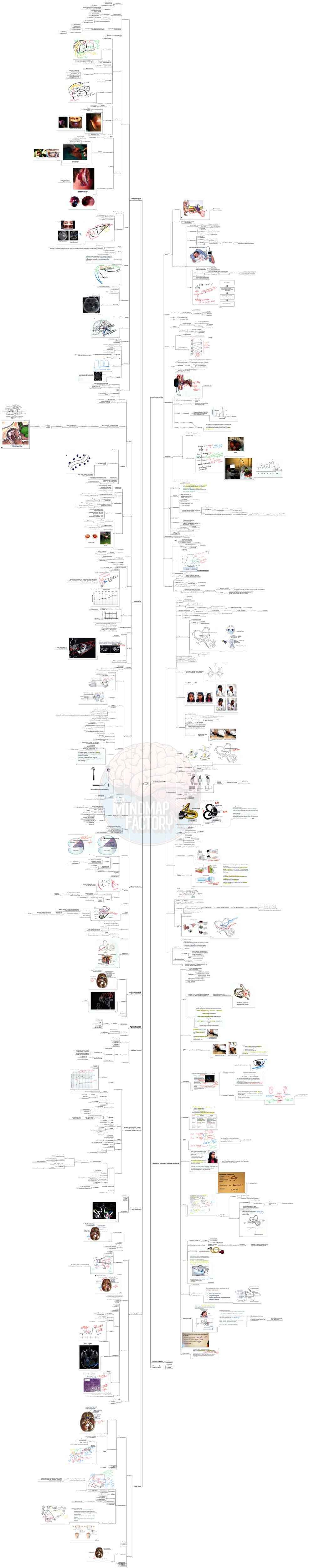 Third Year MBBS Bundle