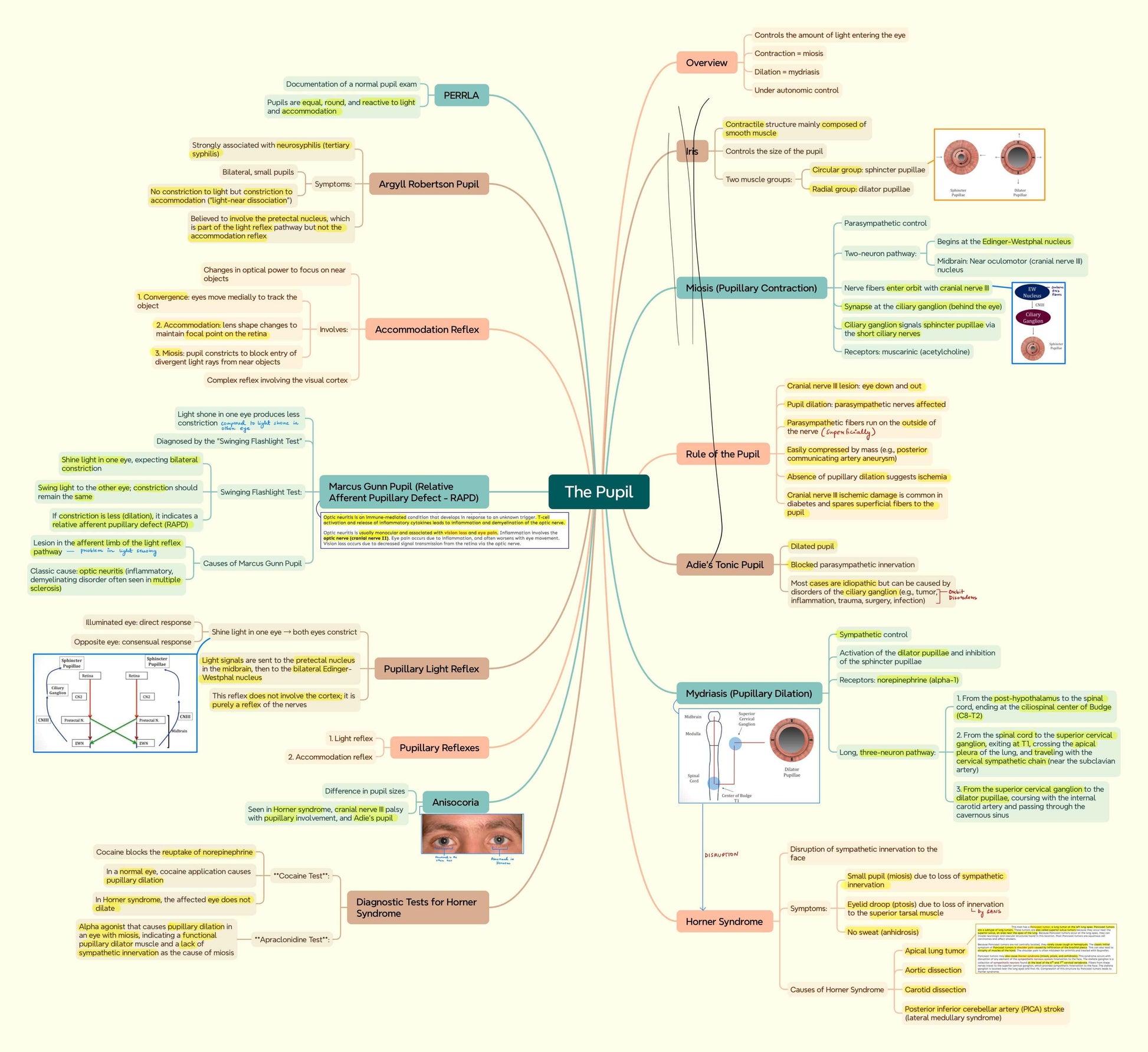 Third Year MBBS Bundle