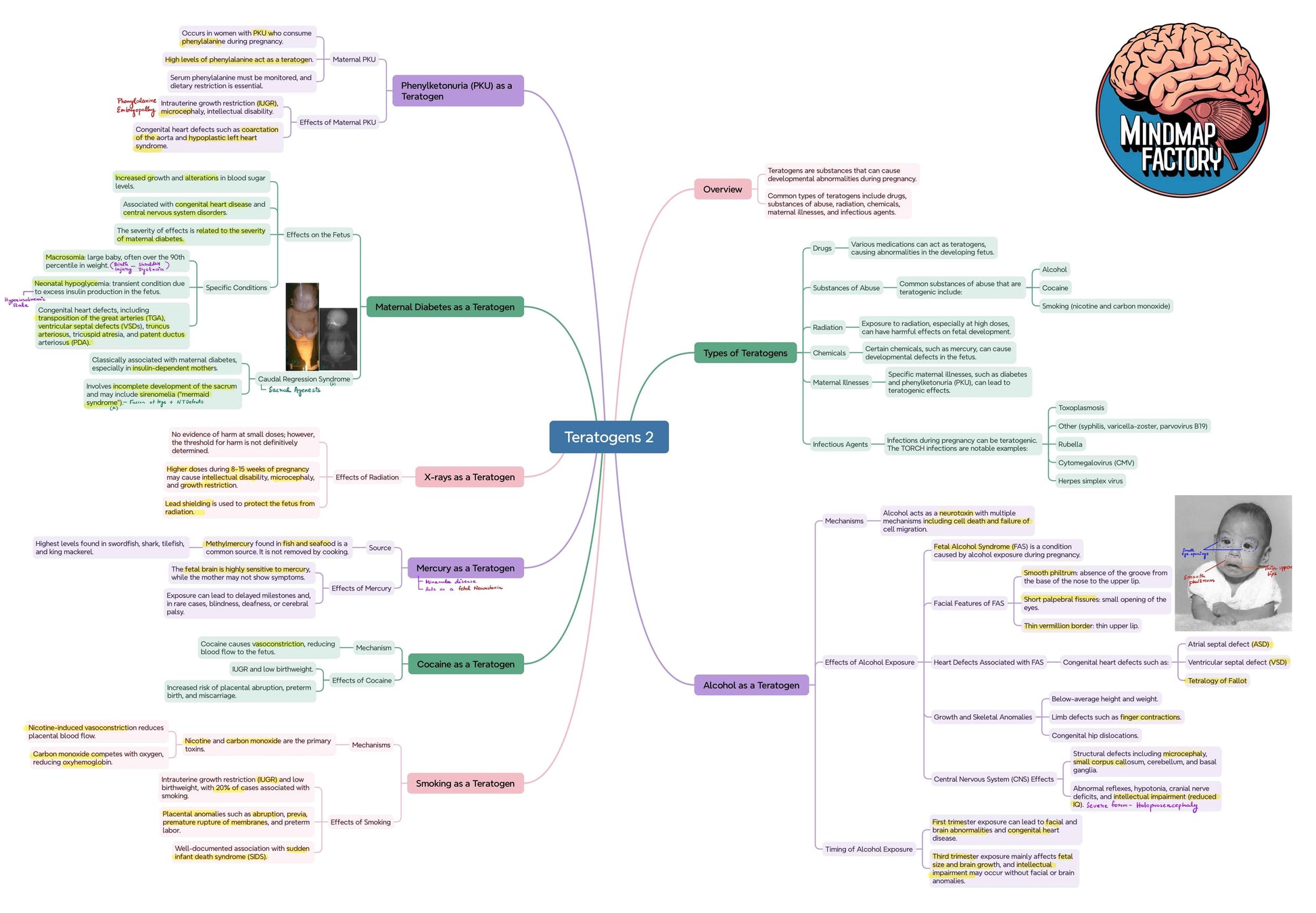 Integrated Reproductive System