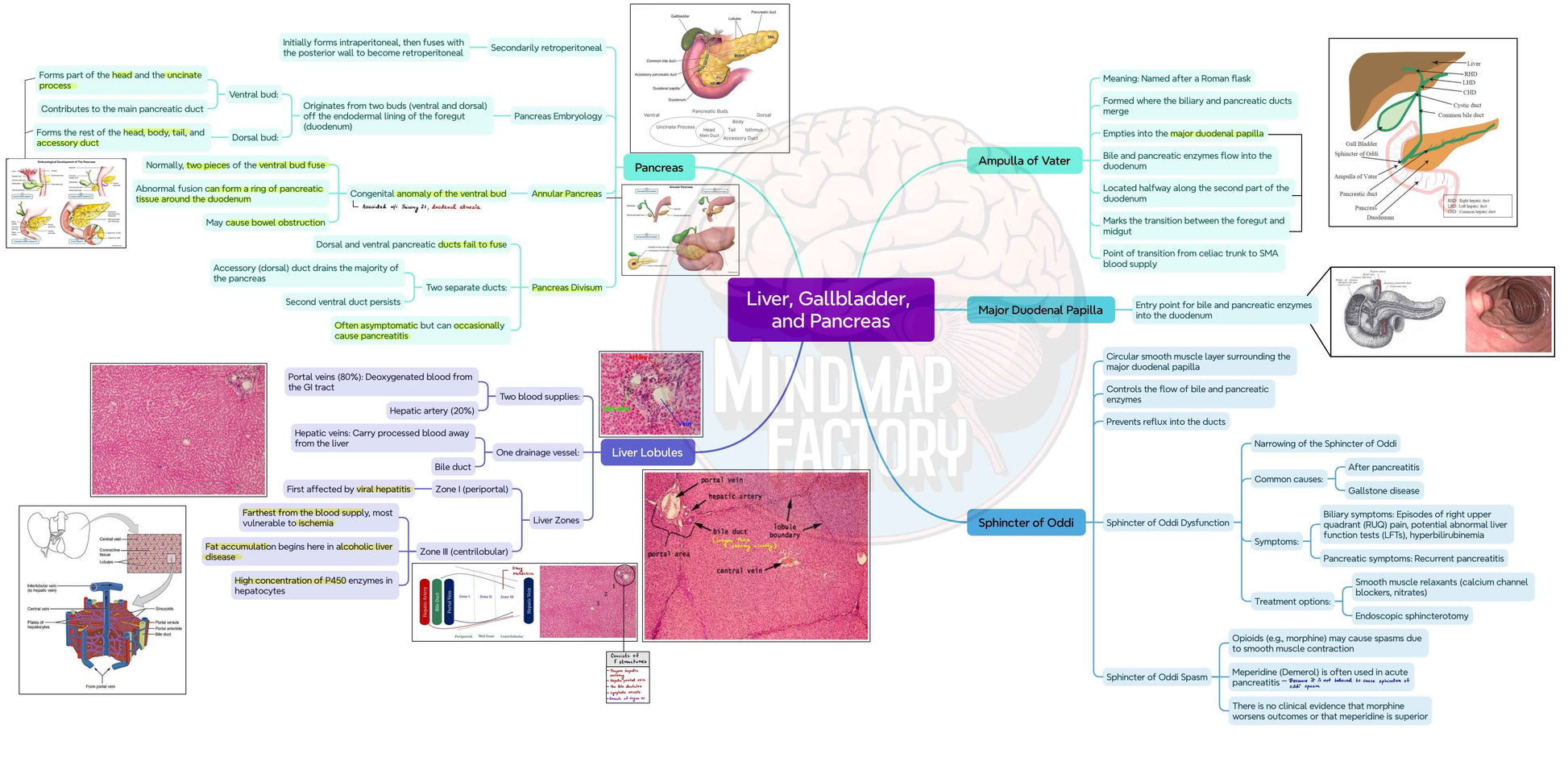 Intergated Gastrointestinal System