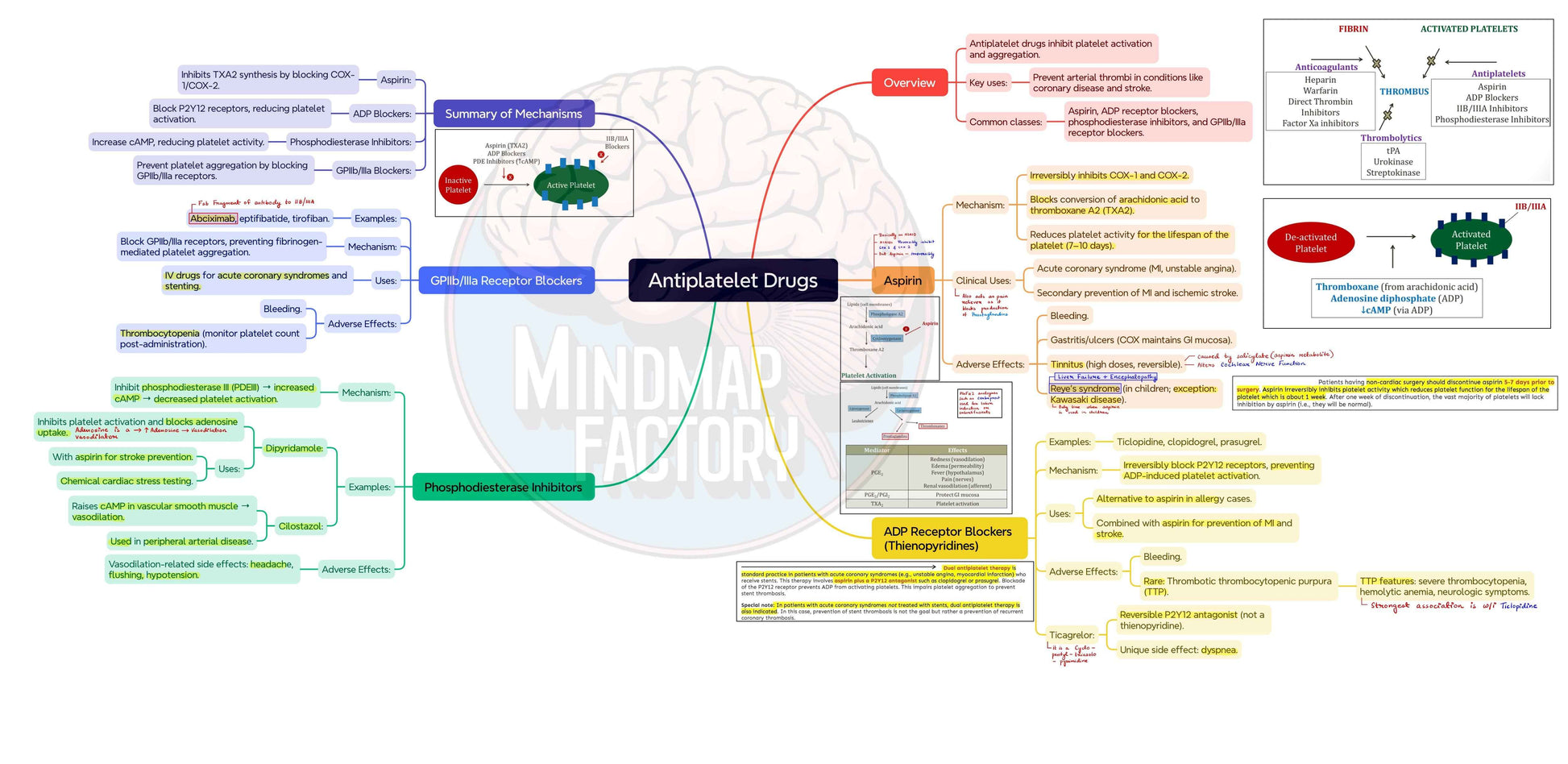 Integrated Hematology