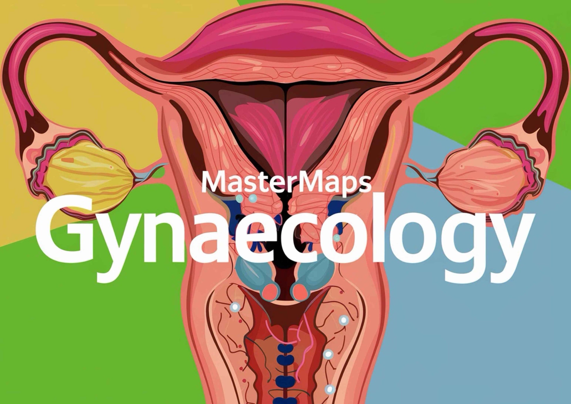 Mastermaps Gynaecology