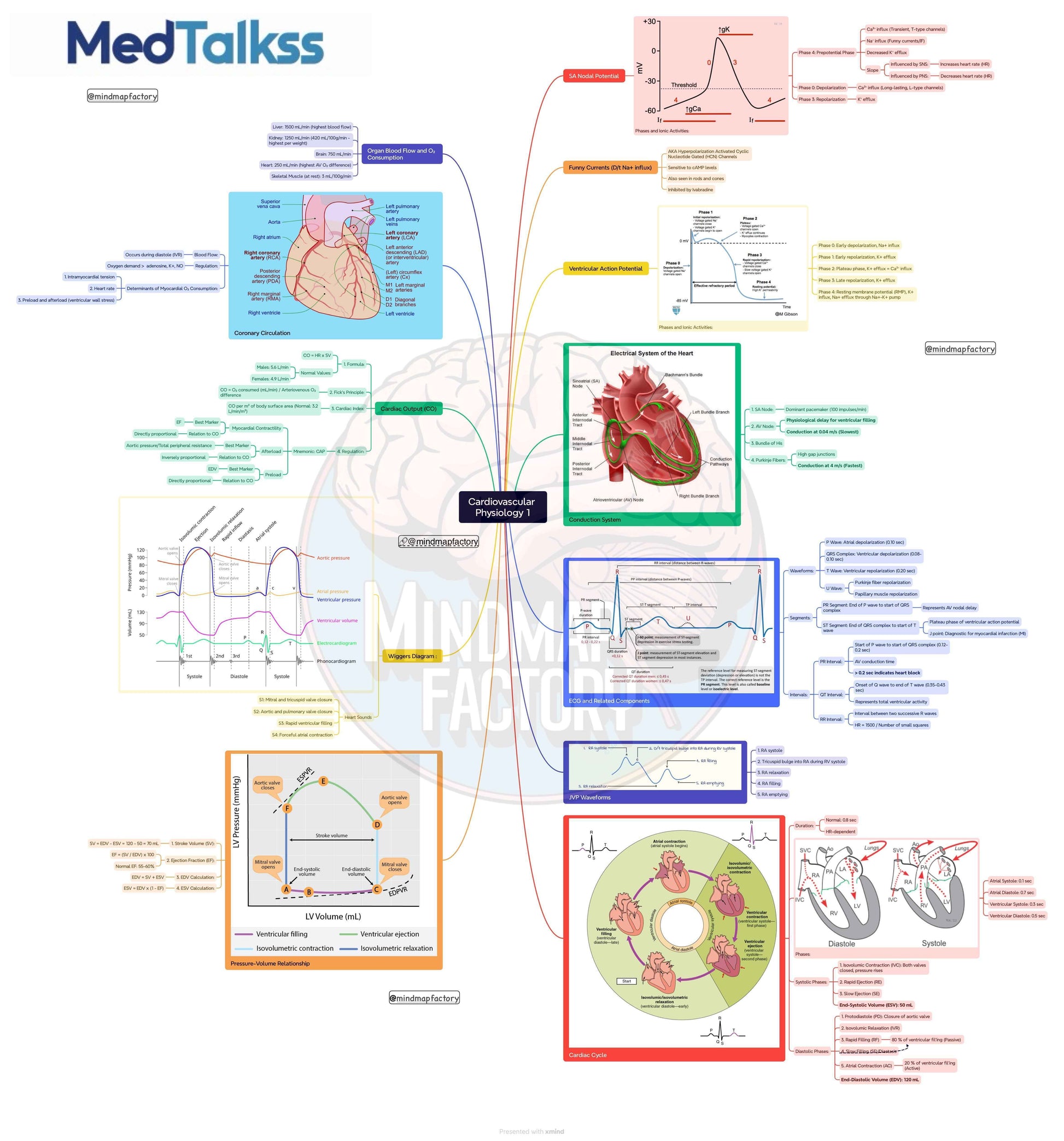 MindmapFactory Combo Plan
