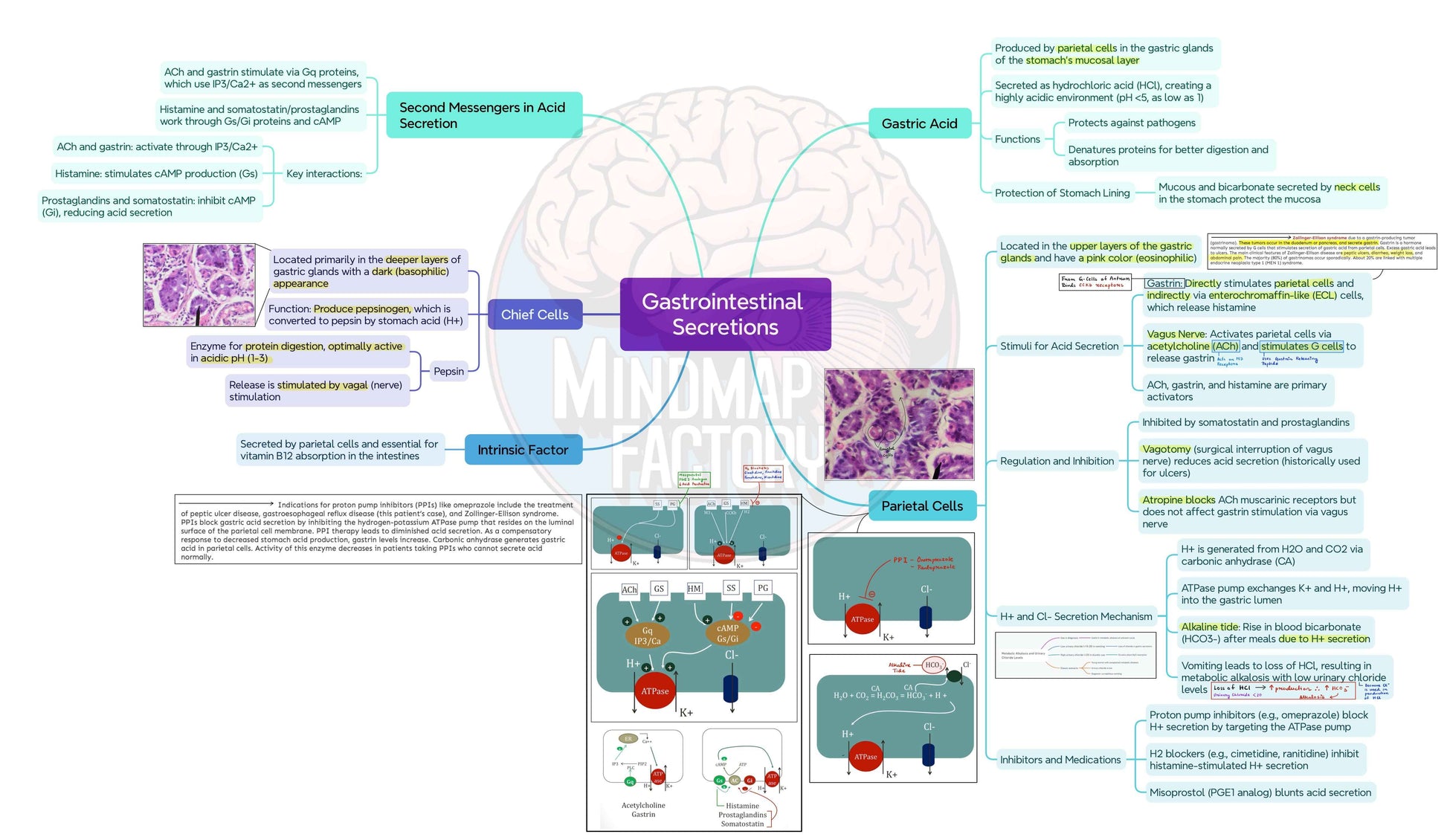 Mastermaps Integrated Medicine