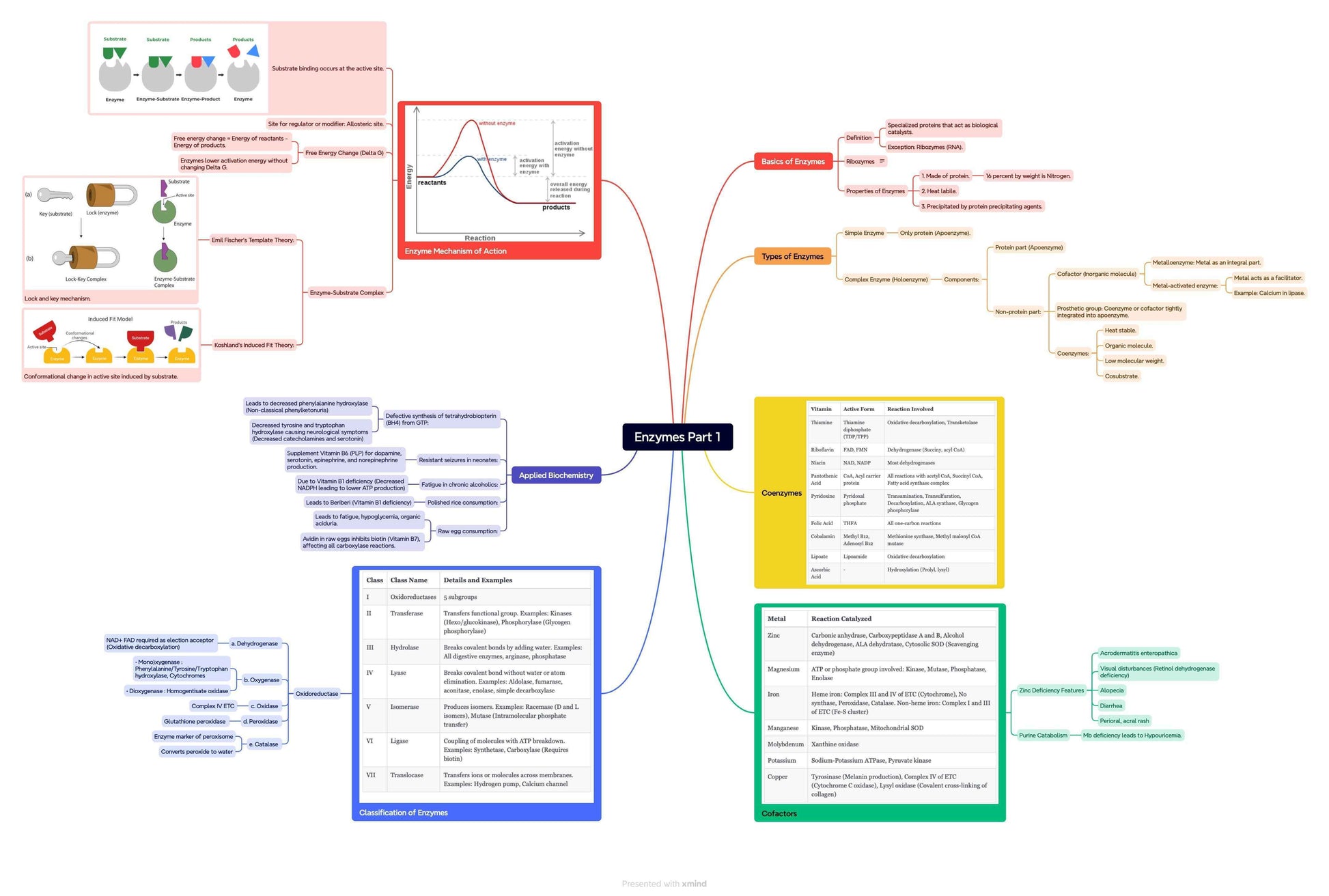 MindmapFactory Combo Plan