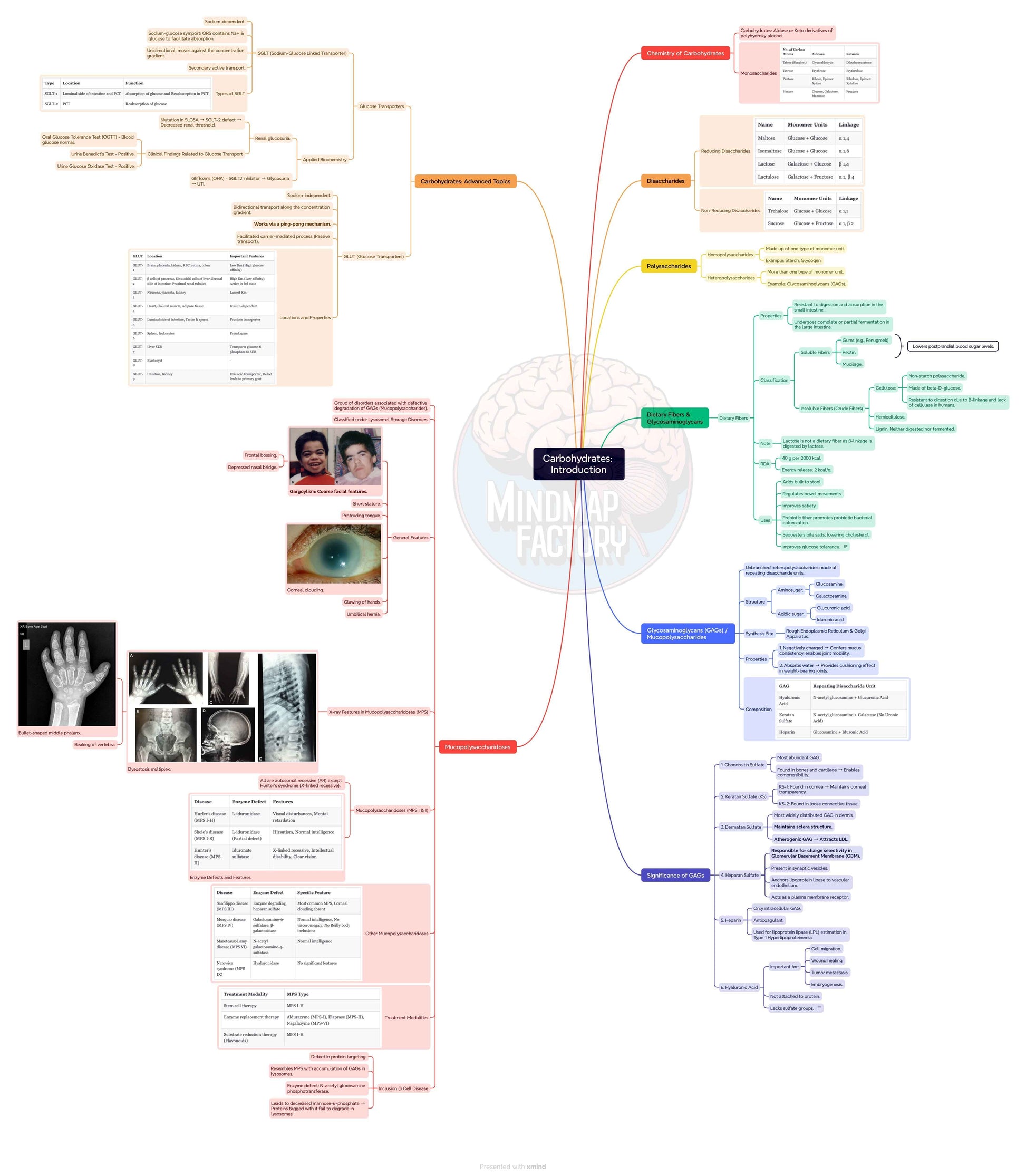 First Year MBBS Bundle