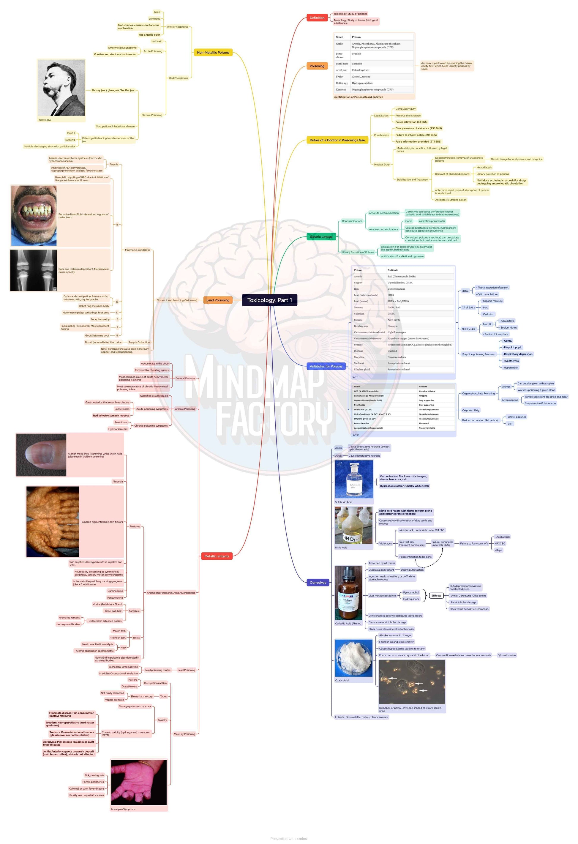 Second Year MBBS Bundle