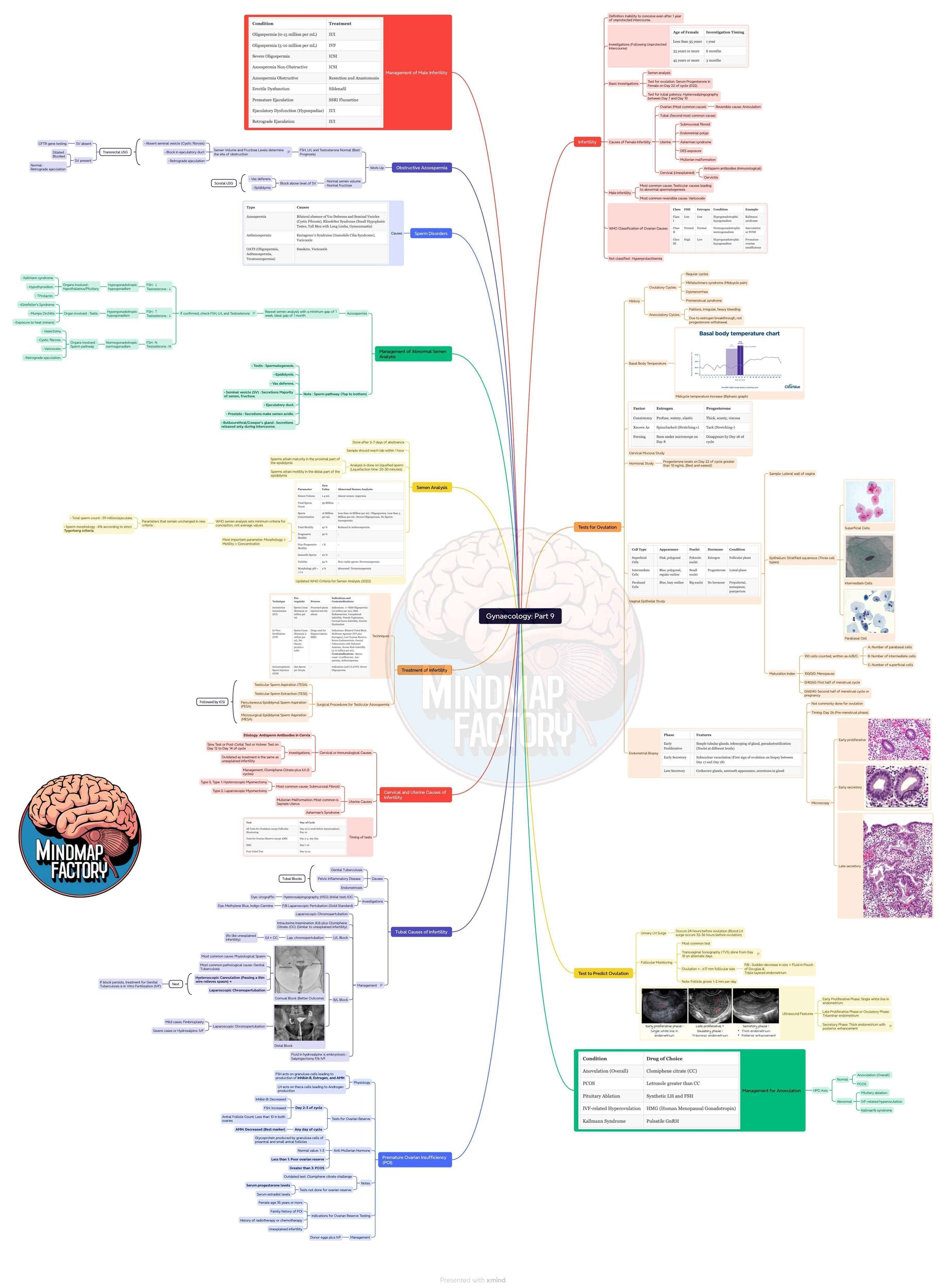 MindmapFactory Combo Plan