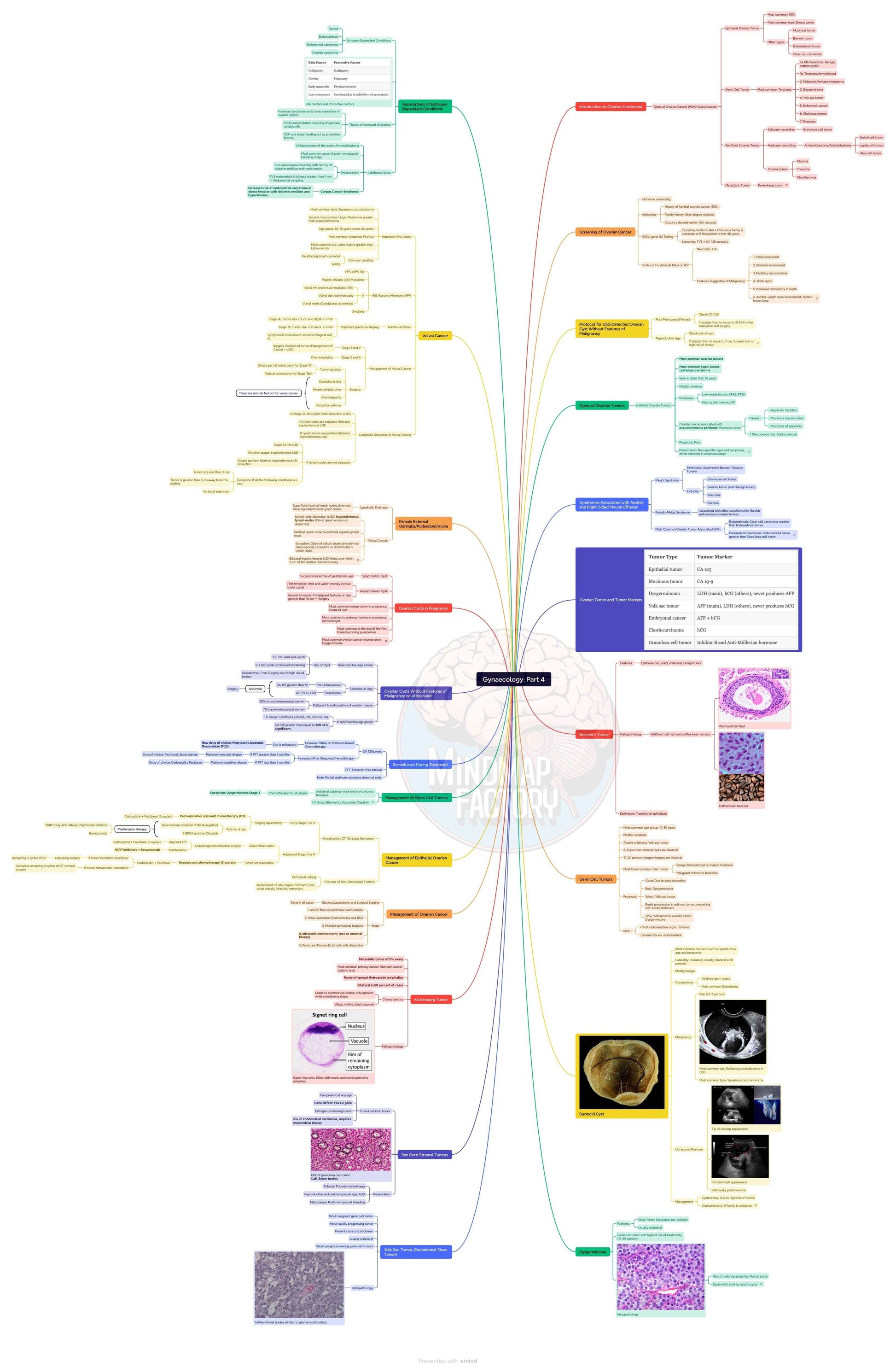 Mastermaps Gynaecology
