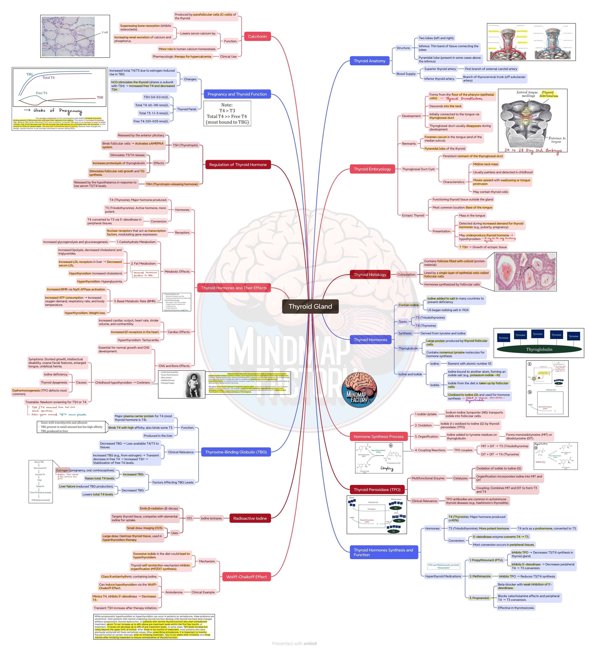 Final Year MBBS Bundle