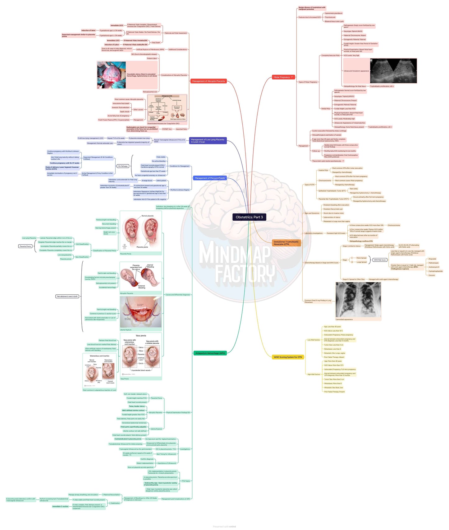 MindmapFactory Combo Plan