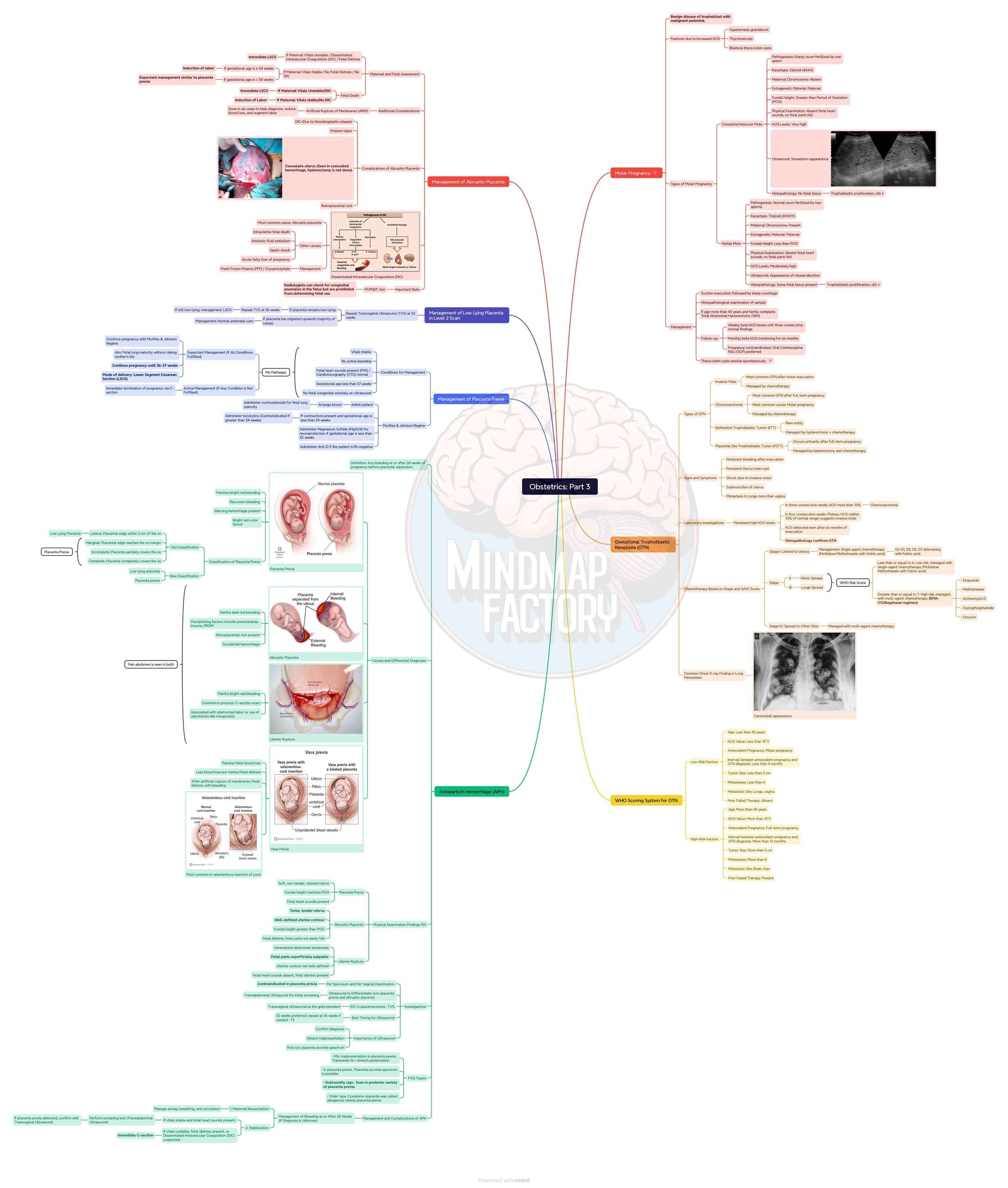 MindmapFactory Combo Plan
