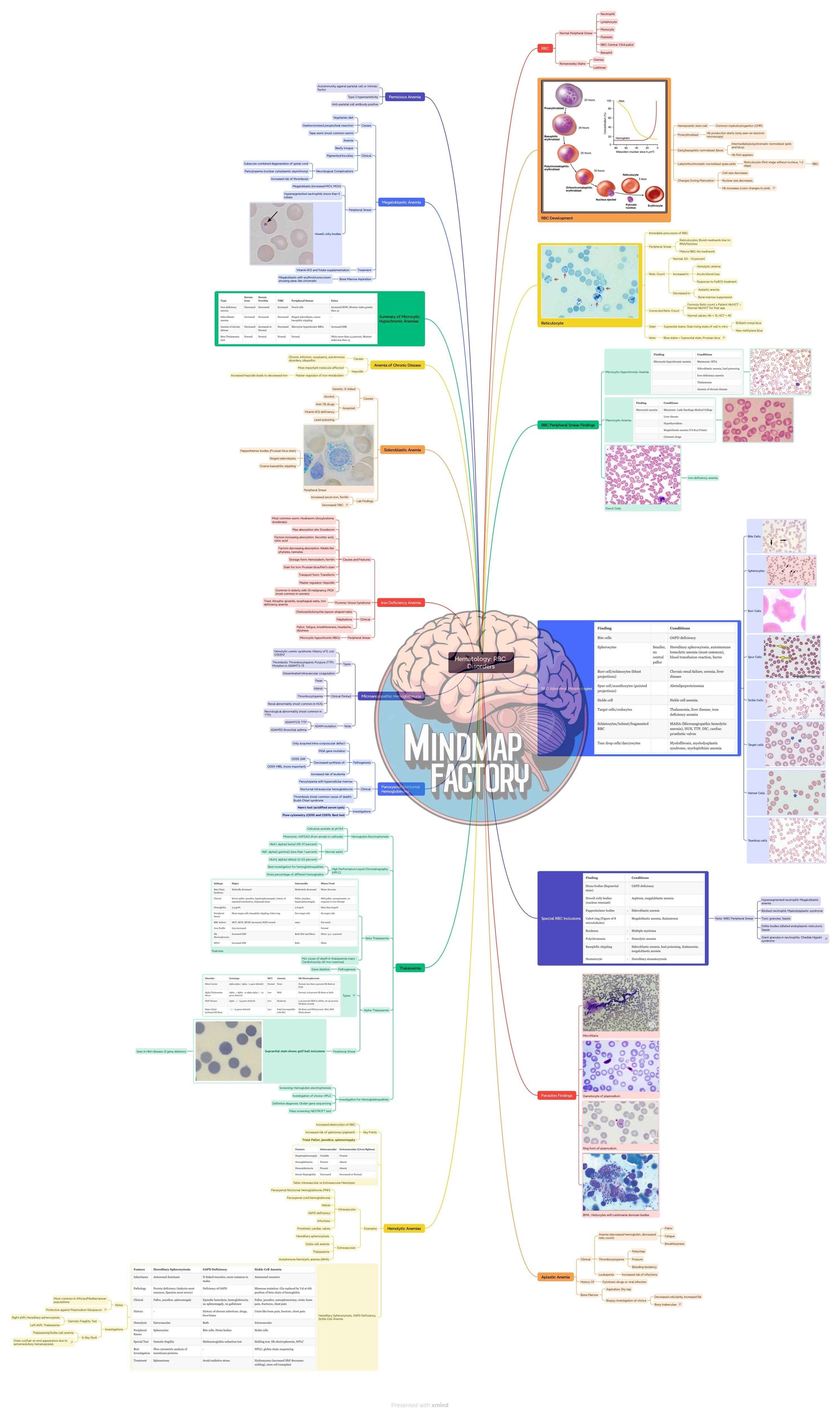 Mastermaps Pathology
