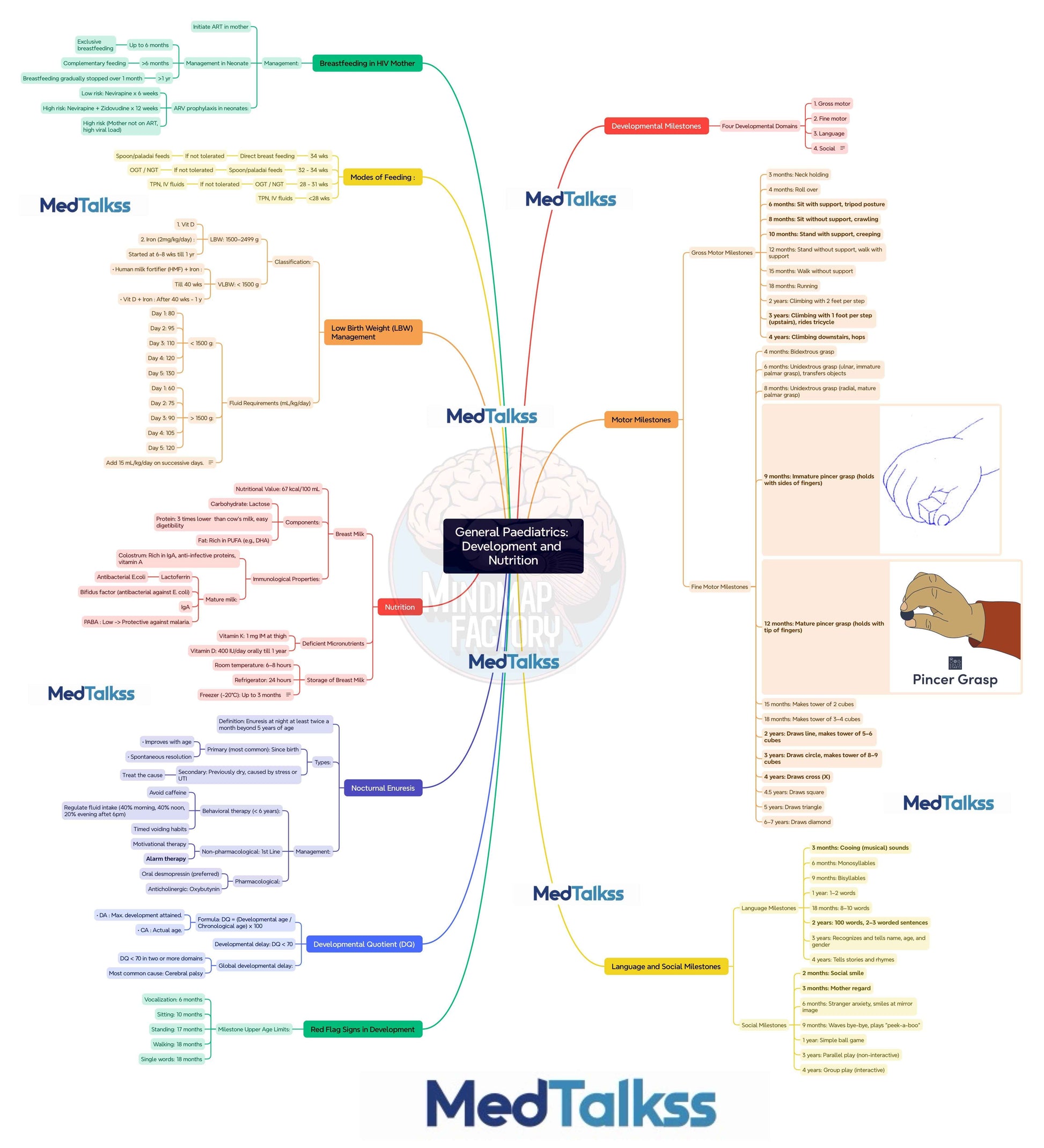 Mastermaps Paediatrics
