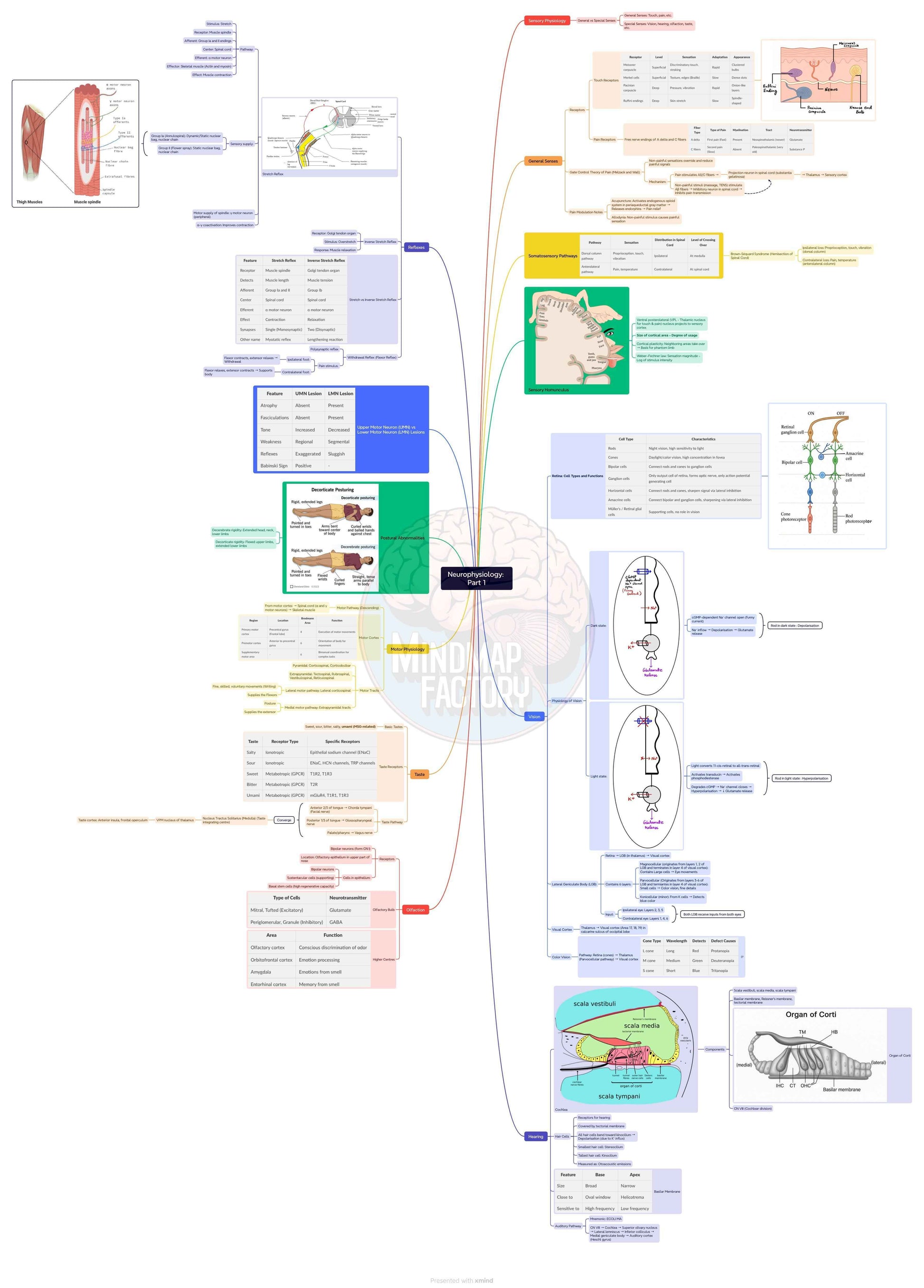 First Year MBBS Bundle