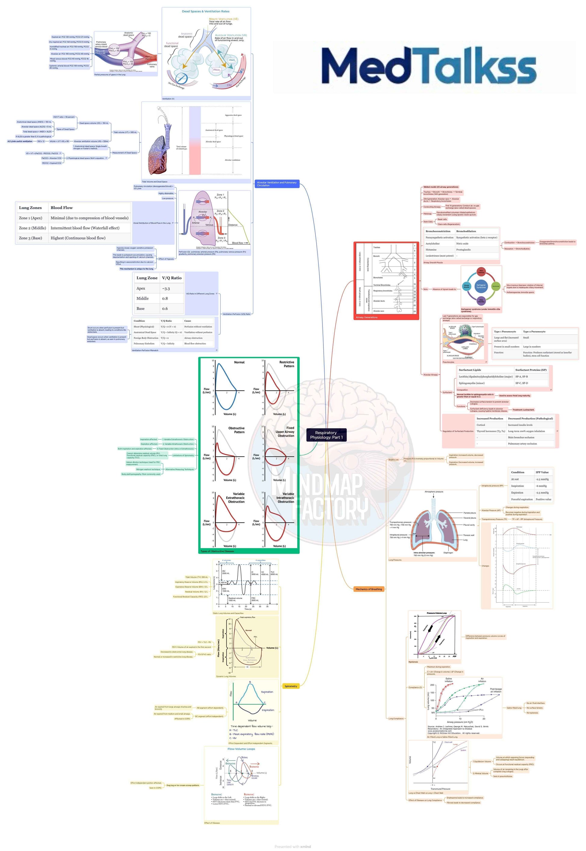 First Year MBBS Bundle