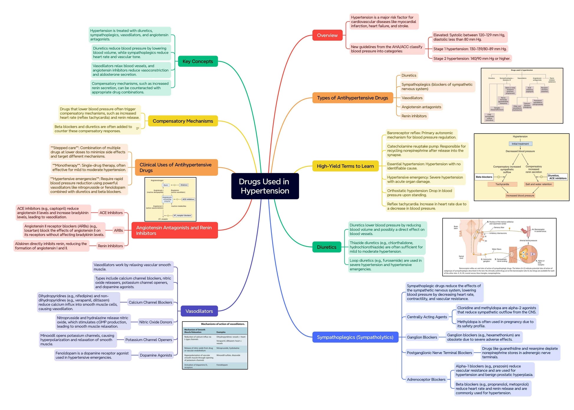 Second Year MBBS Bundle