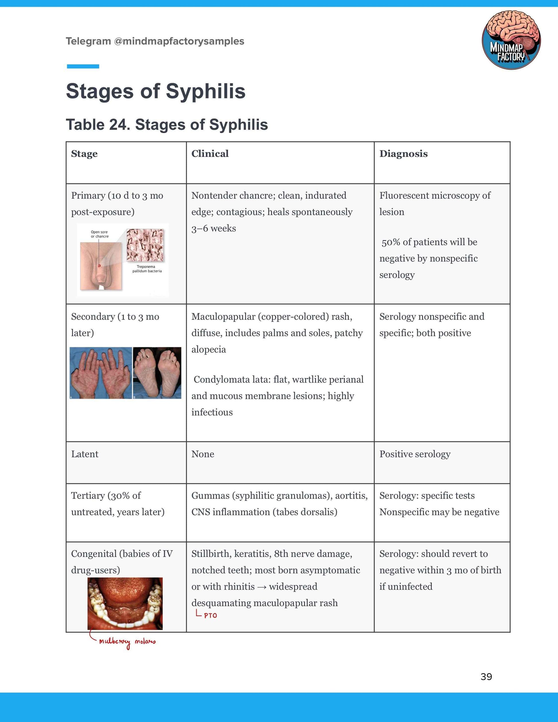 The Microbiology Blueprint