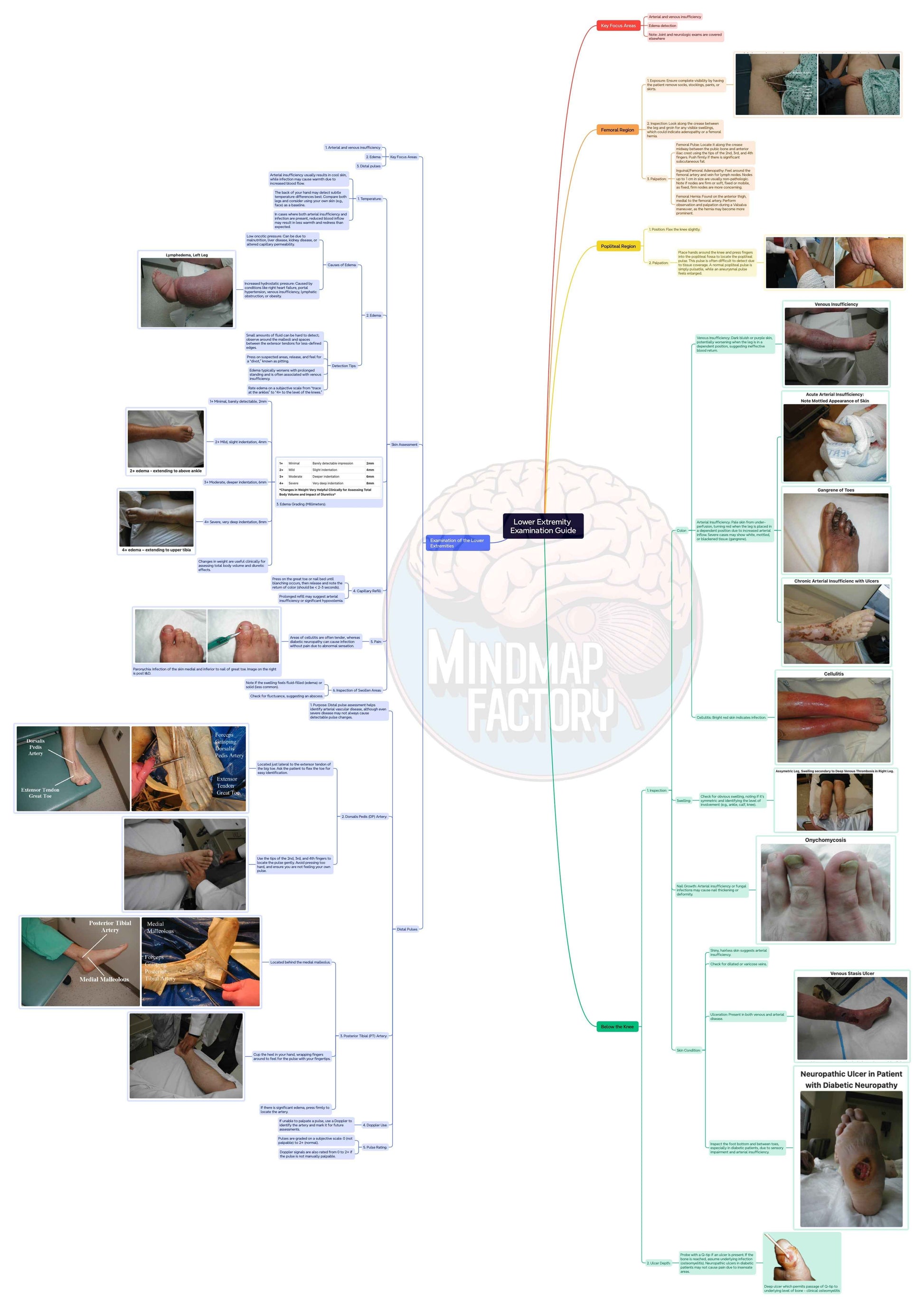 Master Clinical History Taking and Examination
