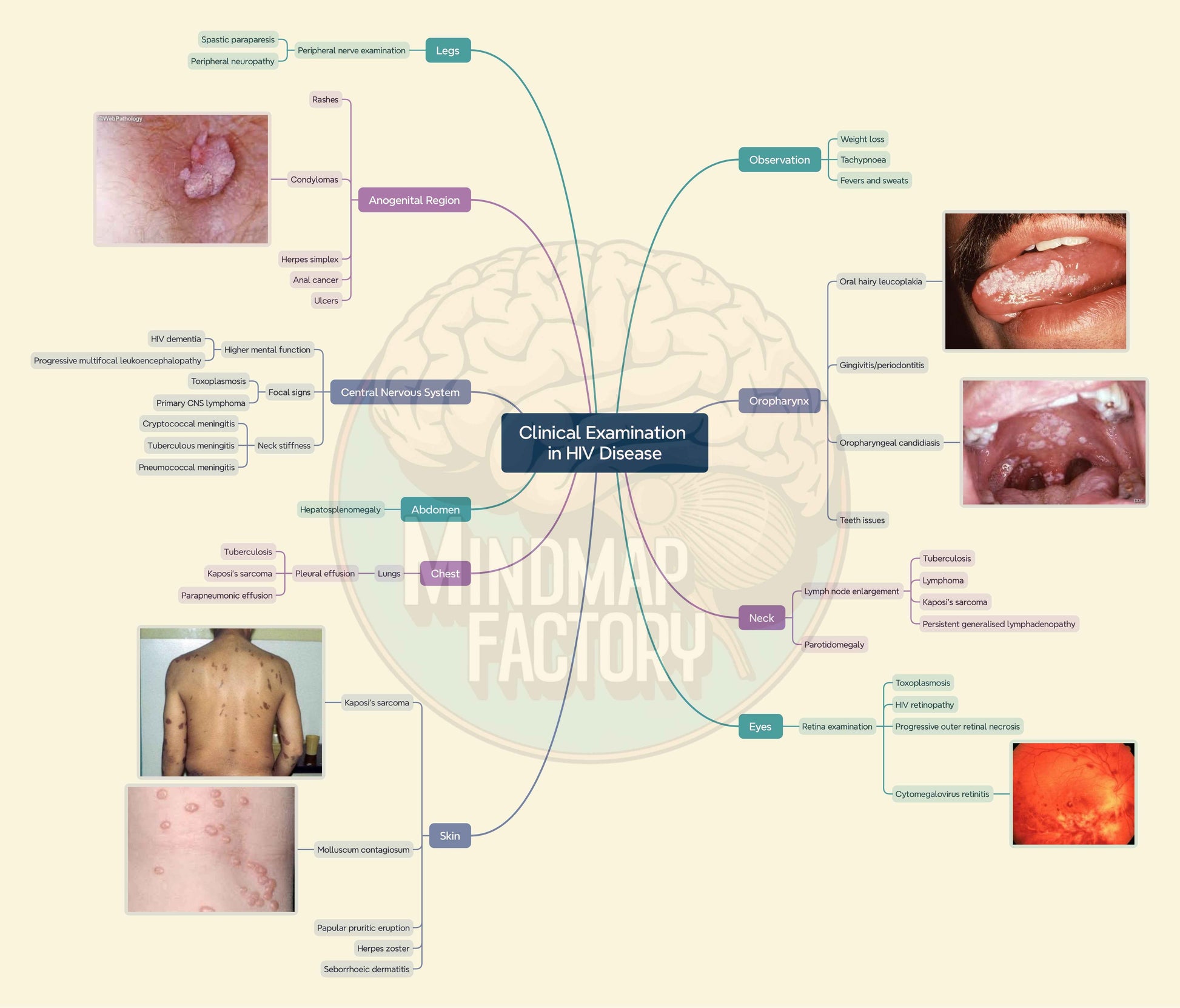 Master Clinical History Taking and Examination
