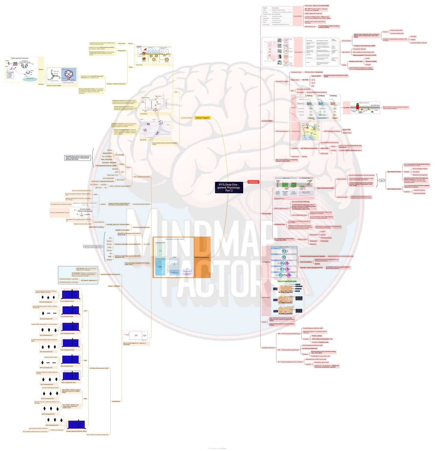 PYT’s Deep Dive Physiology: Master Human Physiology