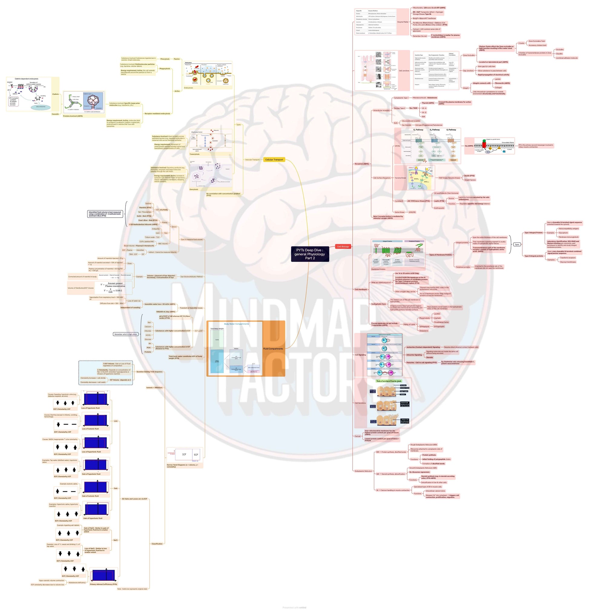 PYT’s Deep Dive Physiology: Master Human Physiology