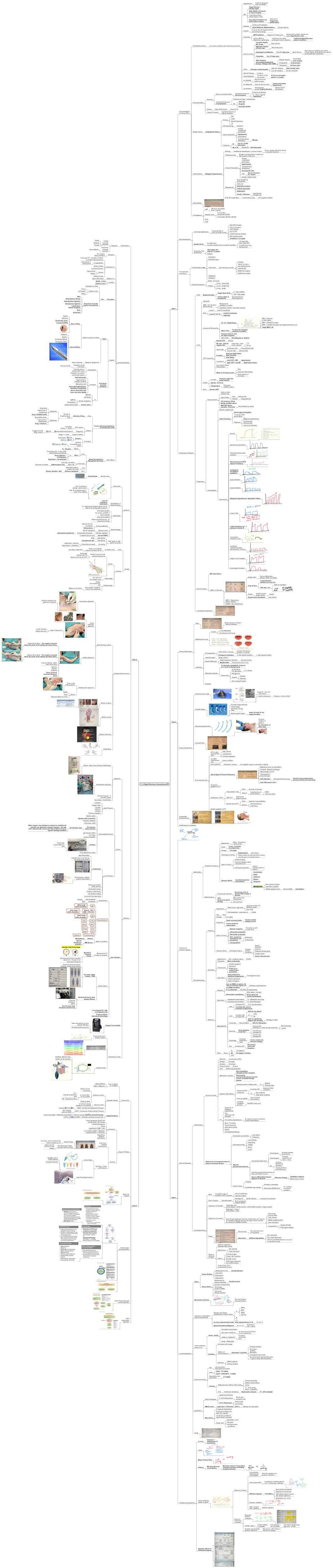 Mastermaps Anaesthesia