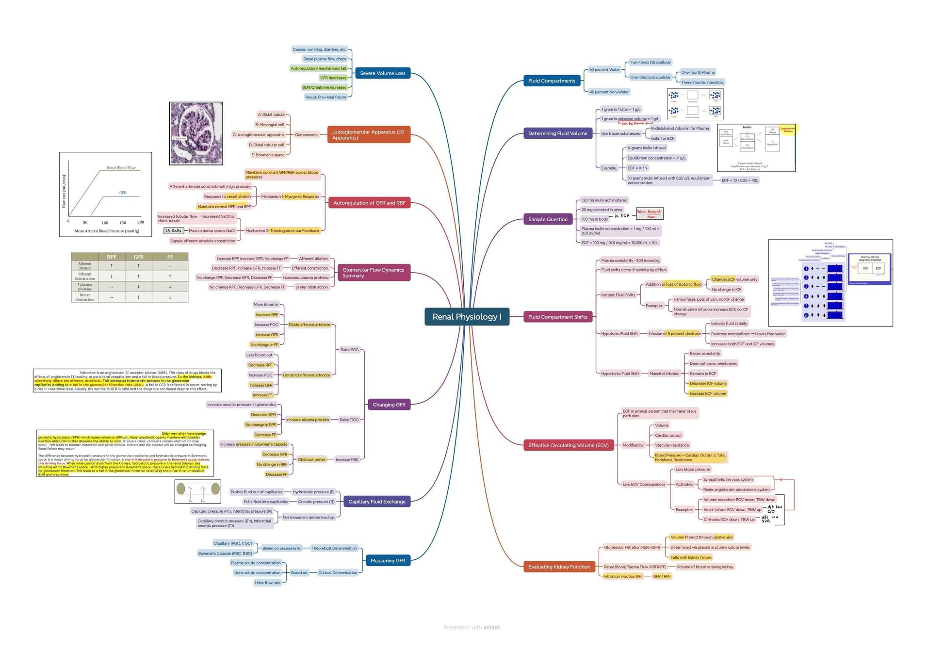 Final Year MBBS Bundle