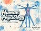 Human Physiology NCERT Mindmap
