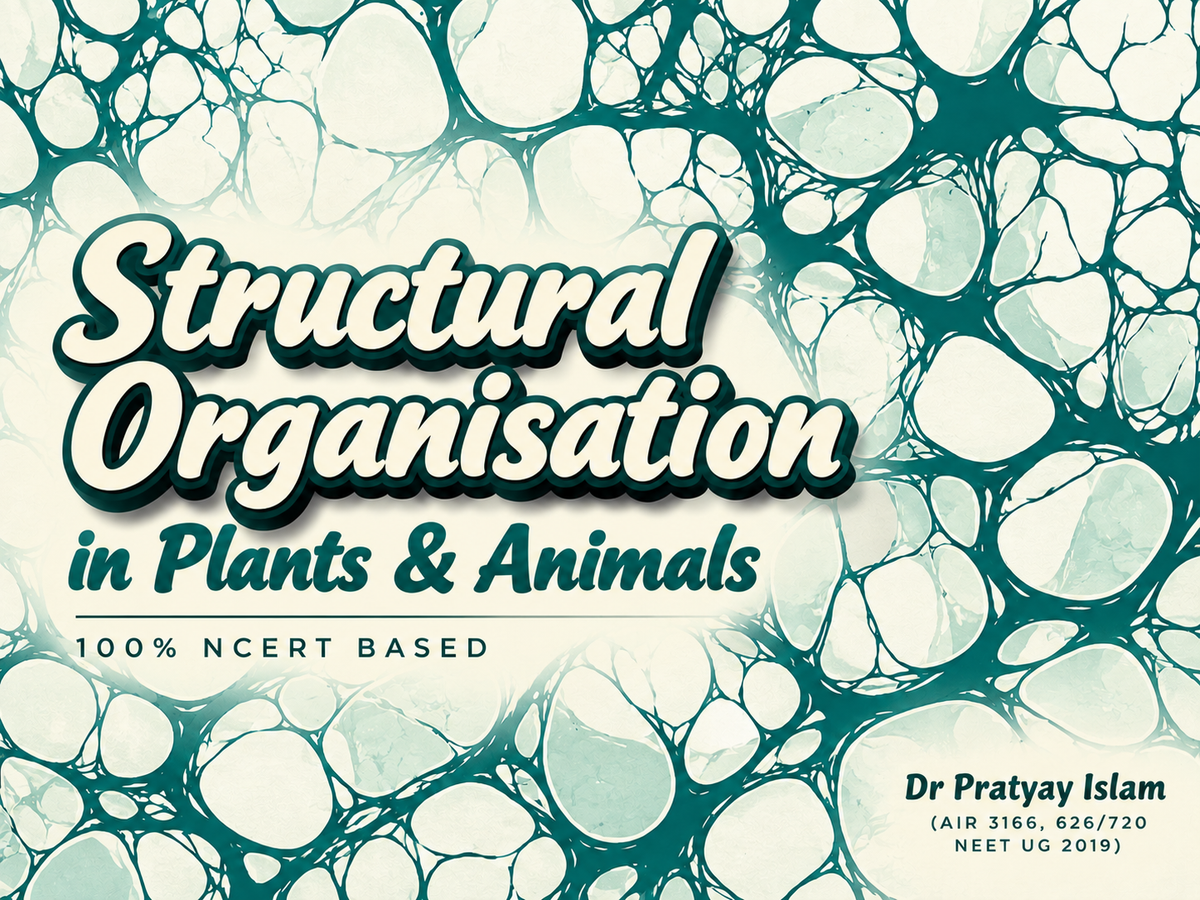Structural Organisation in Plans & Animals