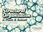 Structural Organisation in Plans & Animals