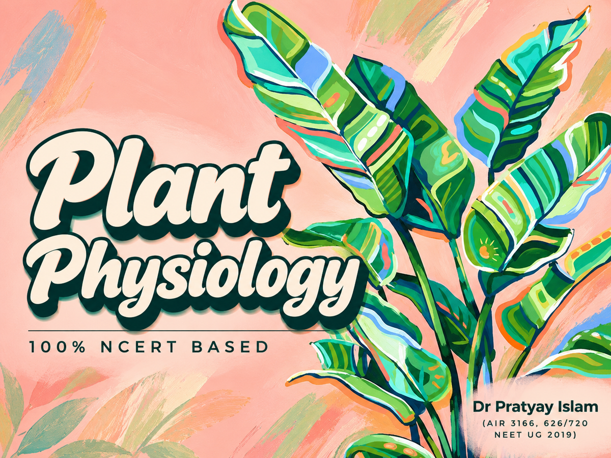 Plant Physiology NCERT Mindmap