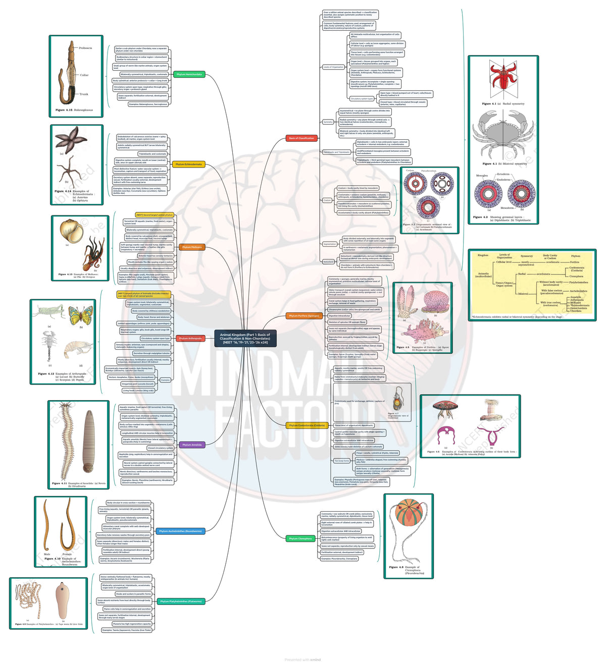 Biology Class 11 NCERT Mindmap