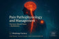Pain Pathophysiology & Management