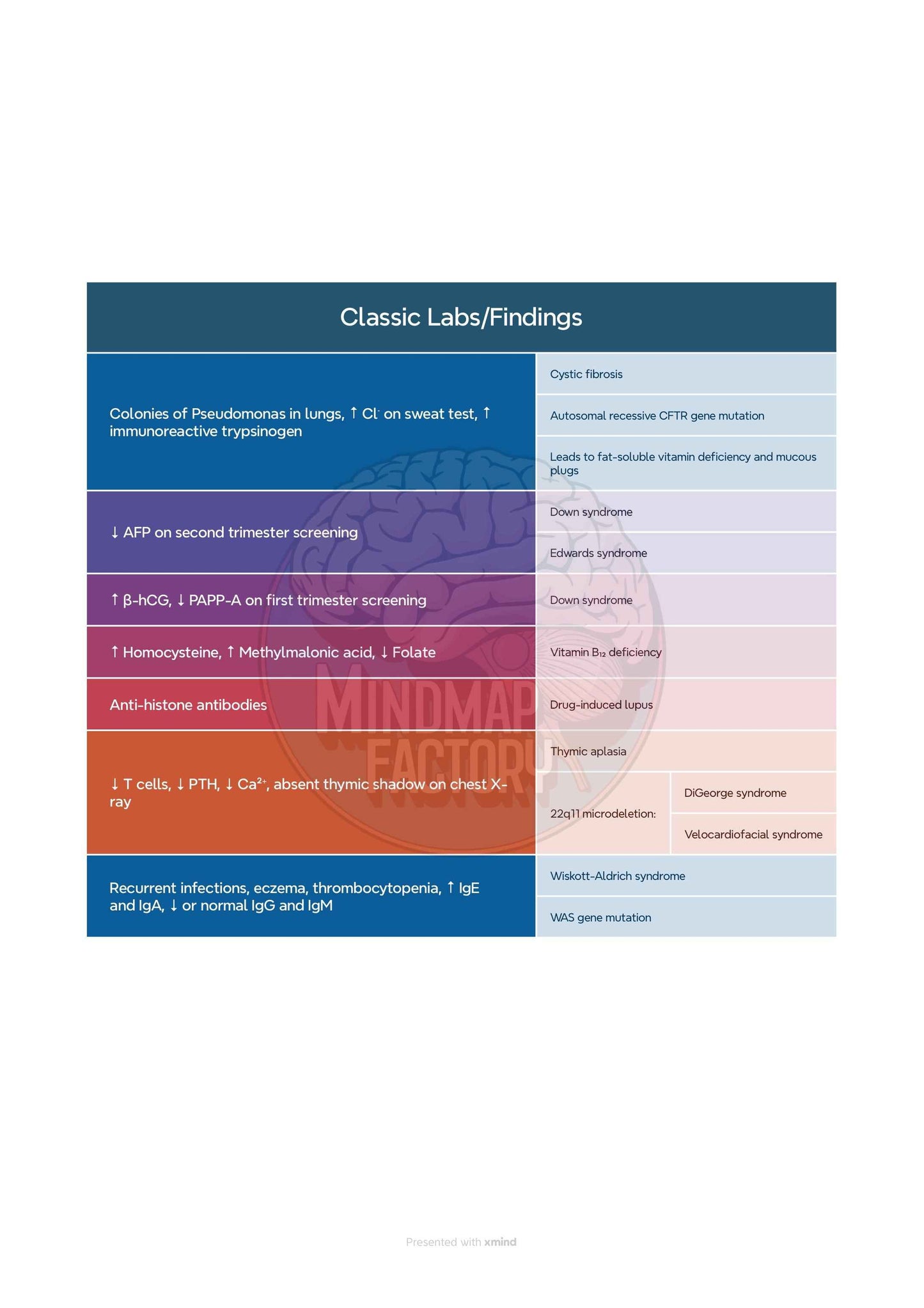 High-Yield Review - Clinical Presentations and Lab Findings