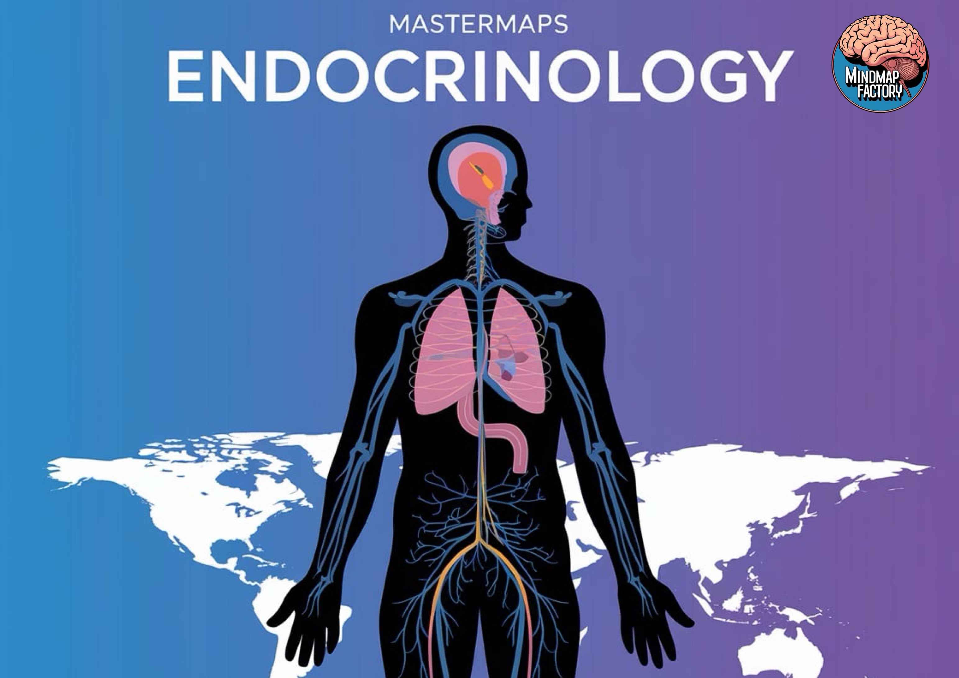 Mastermaps Integrated Endocrinology