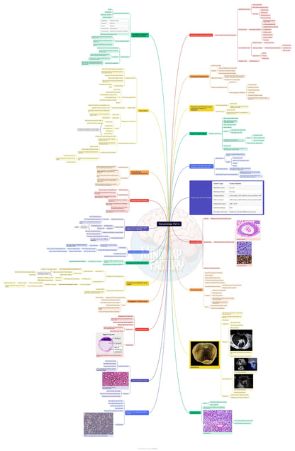 Mastermaps Gynaecology