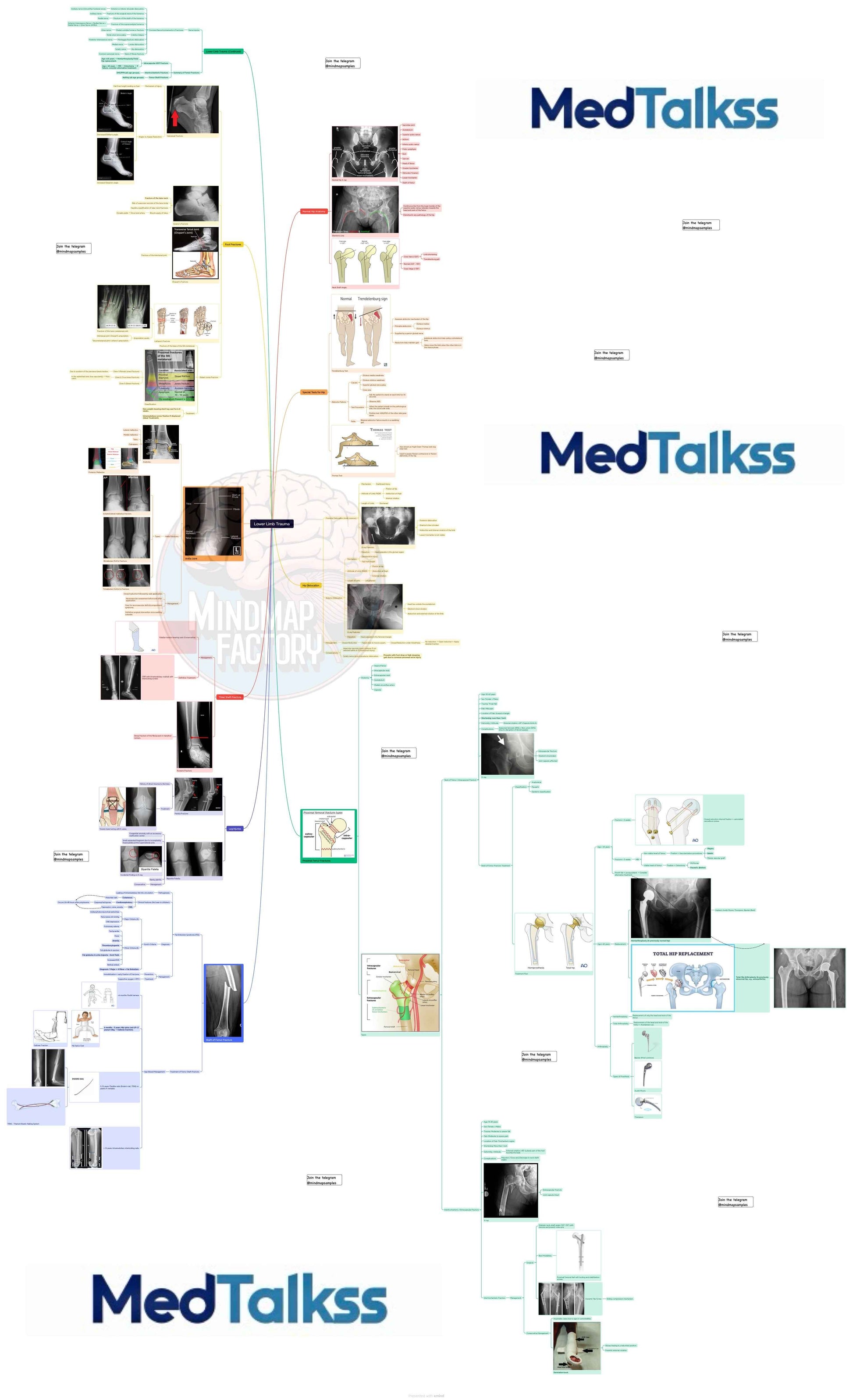 Mastermaps Orthopaedics