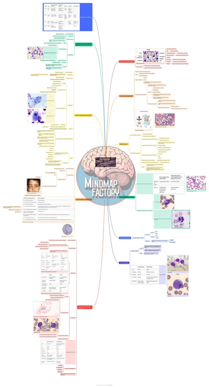 Second Year MBBS Bundle