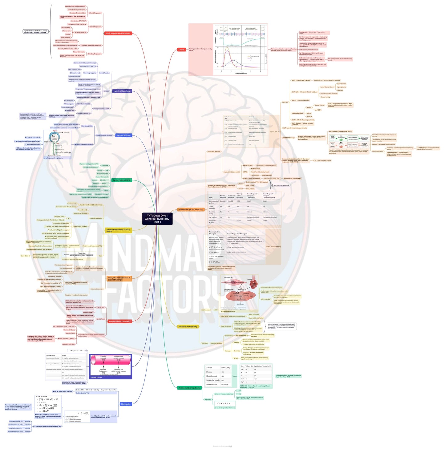 PYT’s Deep Dive Physiology: Master Human Physiology