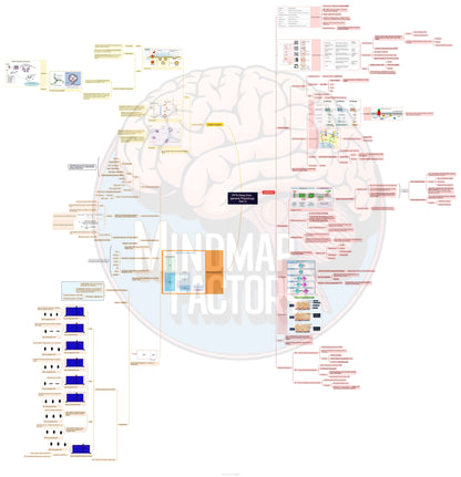 PYT’s Deep Dive Physiology: Master Human Physiology