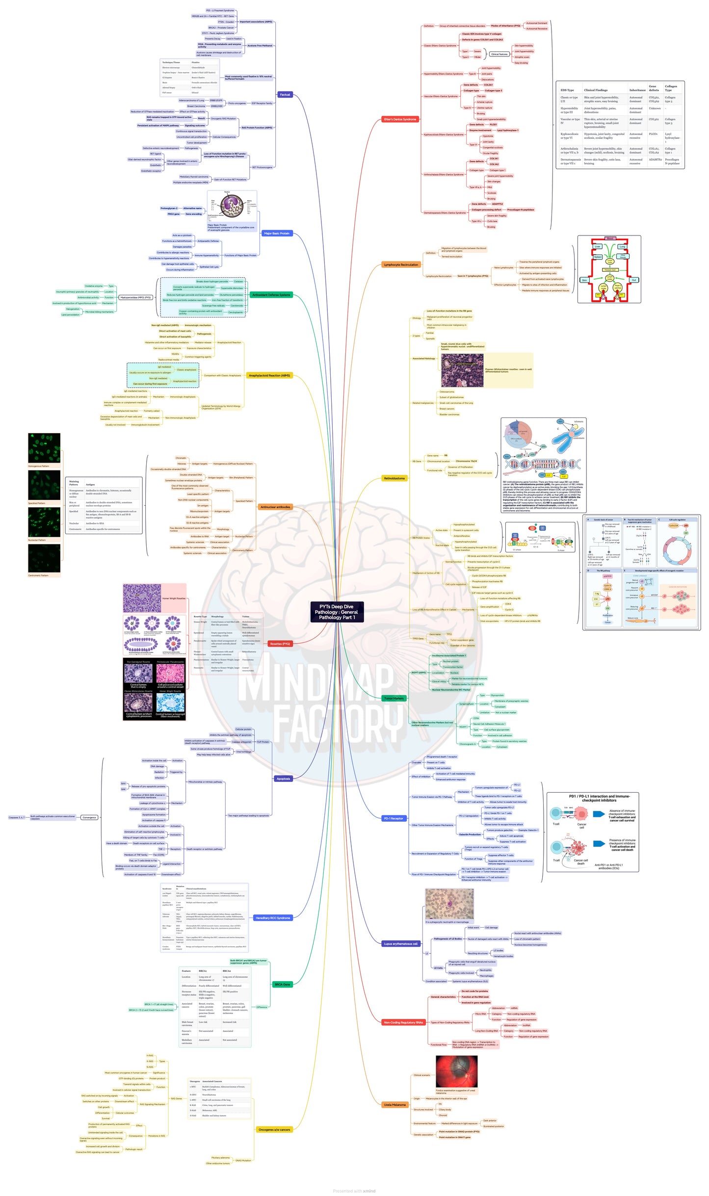 PYTs Deep Dive General Pathology