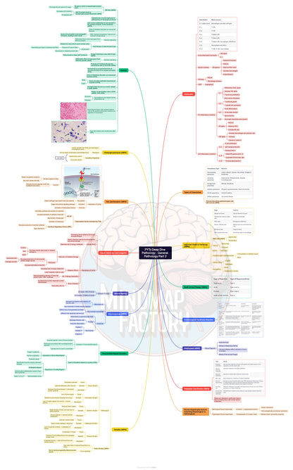 PYTs Deep Dive General Pathology