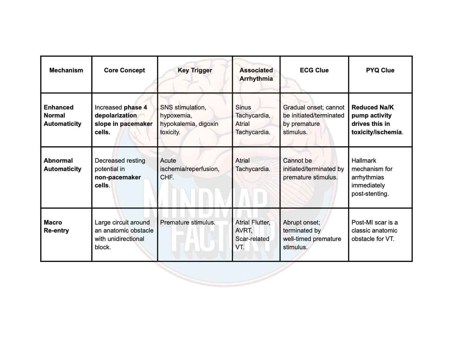 ECG Decoded: A Pattern-Based Approach