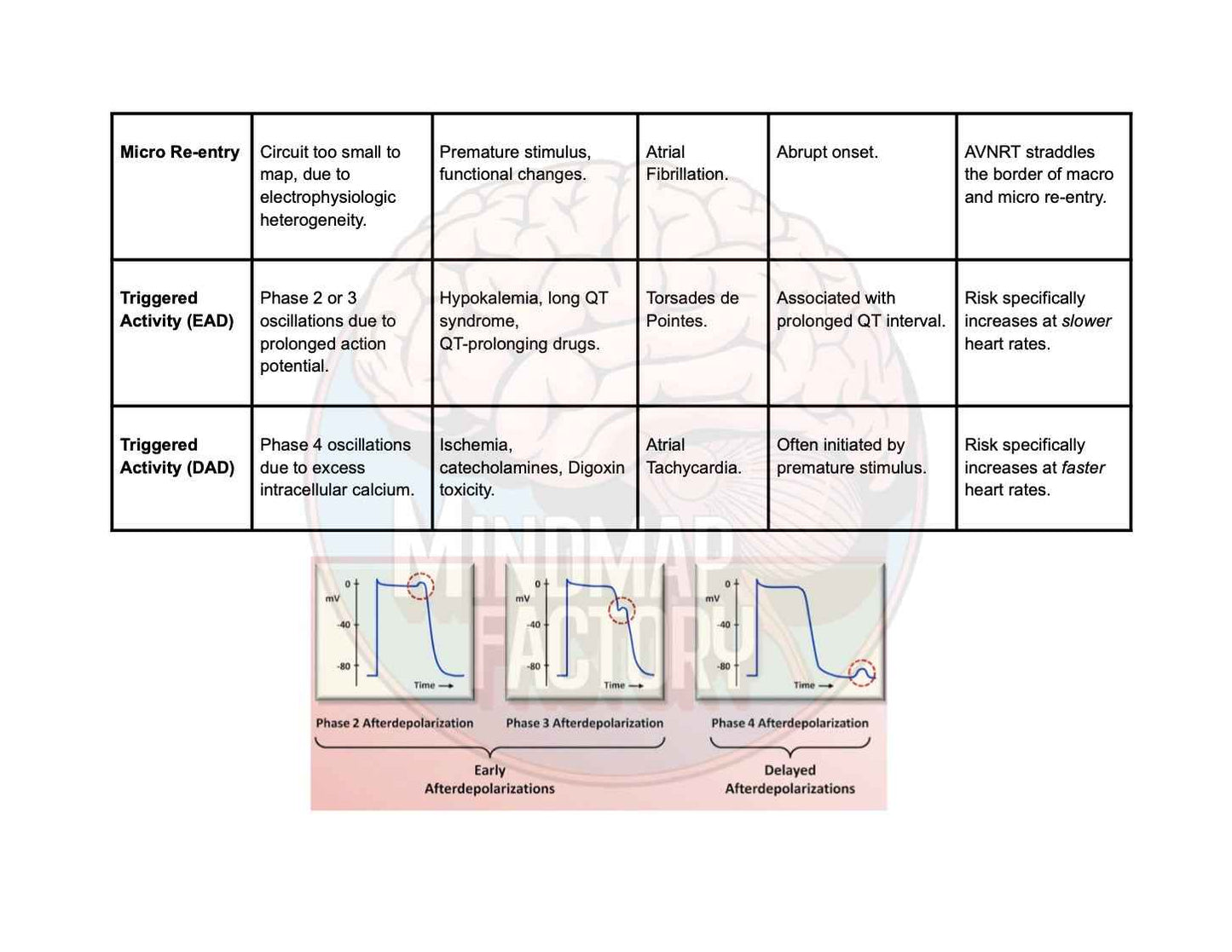 ECG Decoded: A Pattern-Based Approach