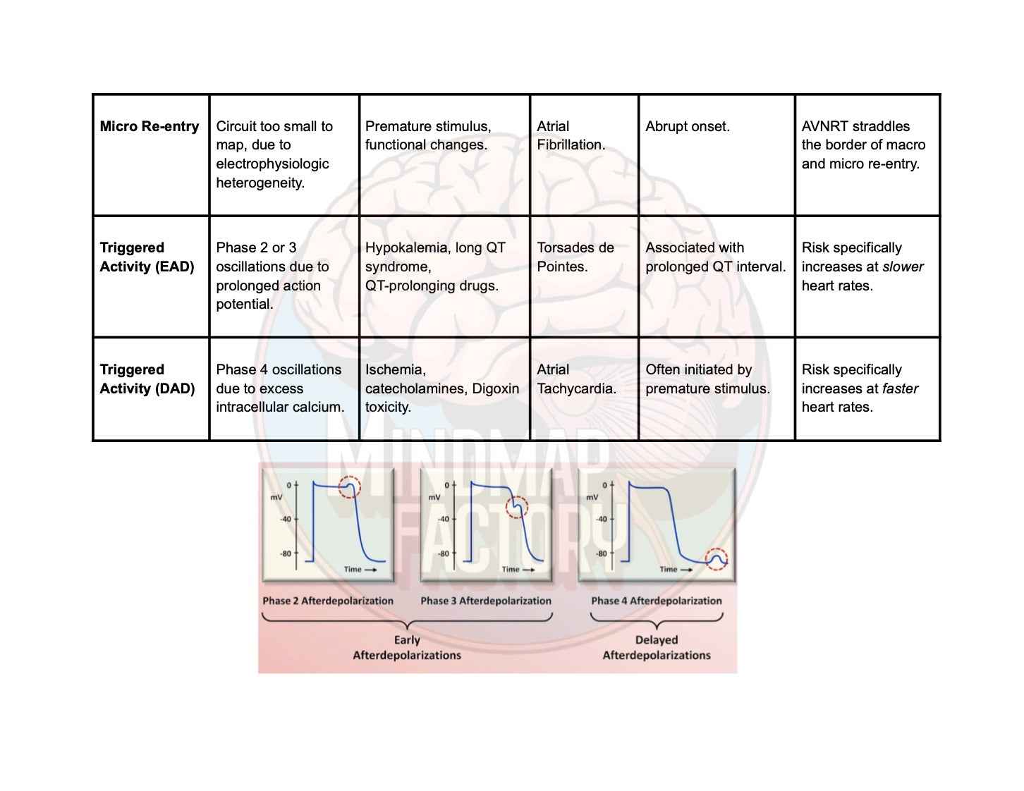ECG Decoded: A Pattern-Based Approach