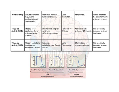 ECG Decoded: A Pattern-Based Approach