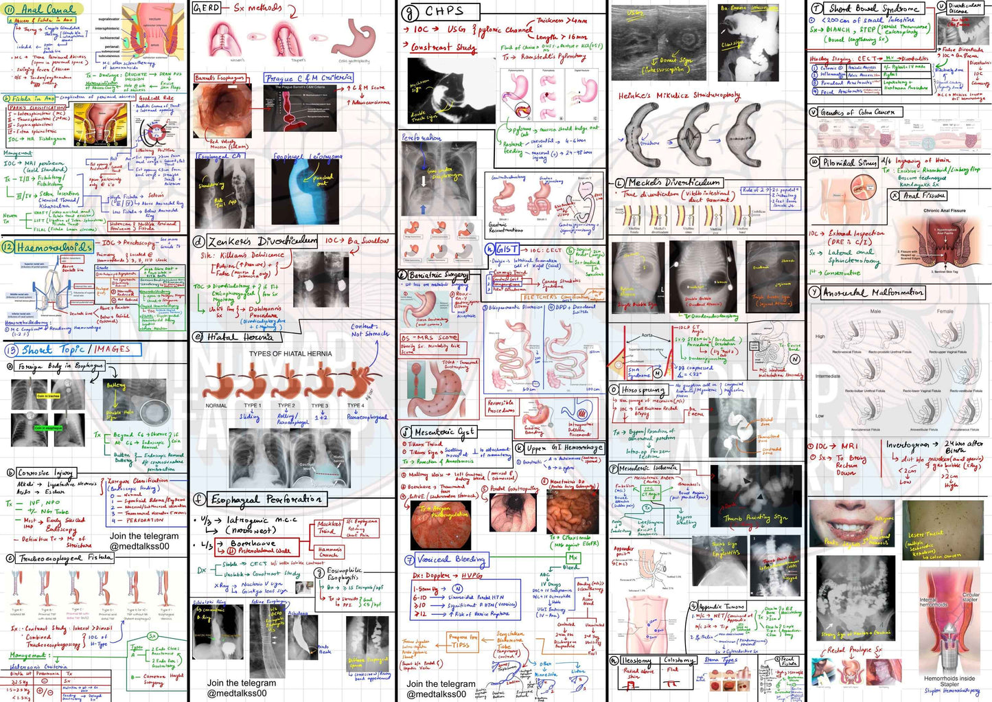 Surgery 20th Notebook